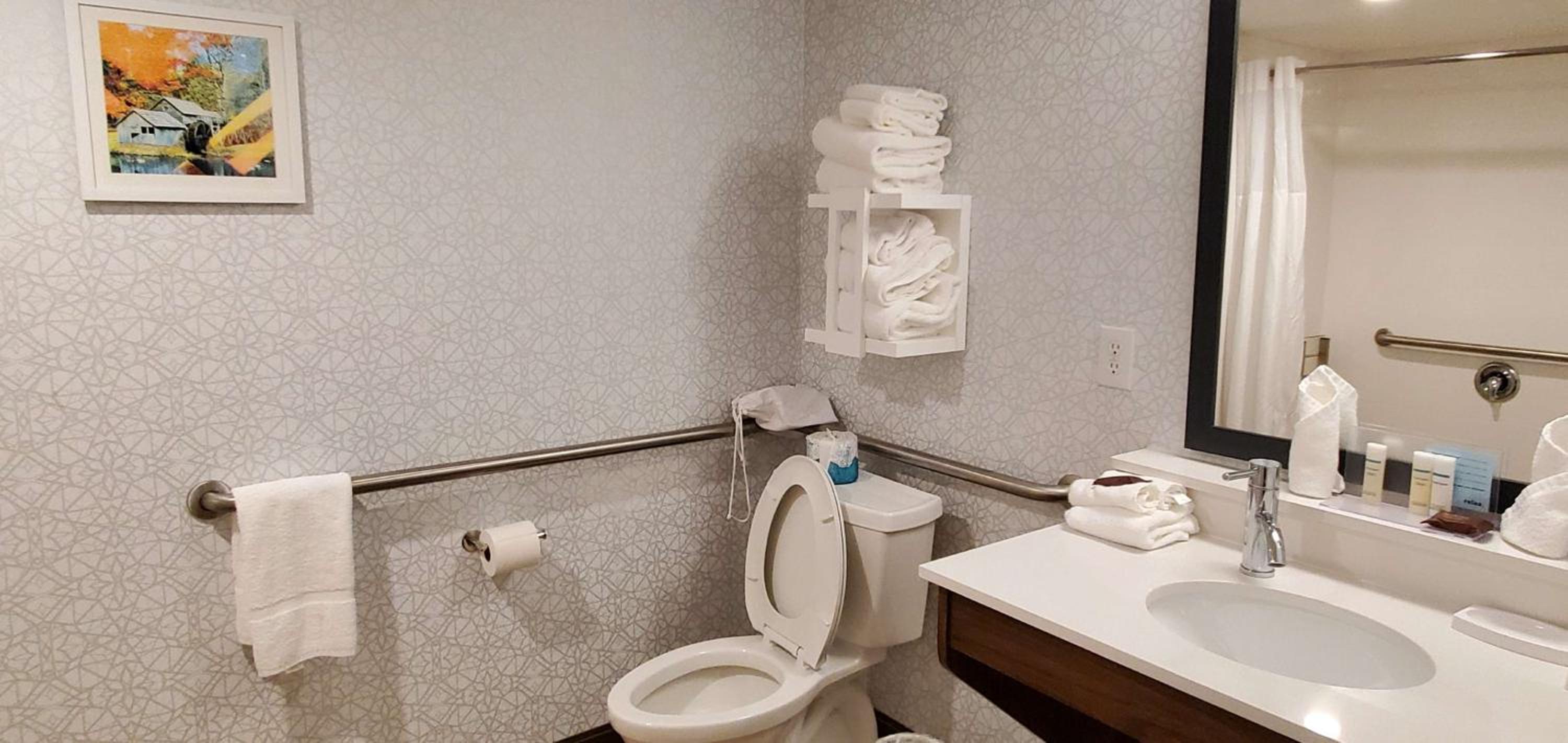 King Room with Bath Tub - Mobility and Hearing Access - Photo 4