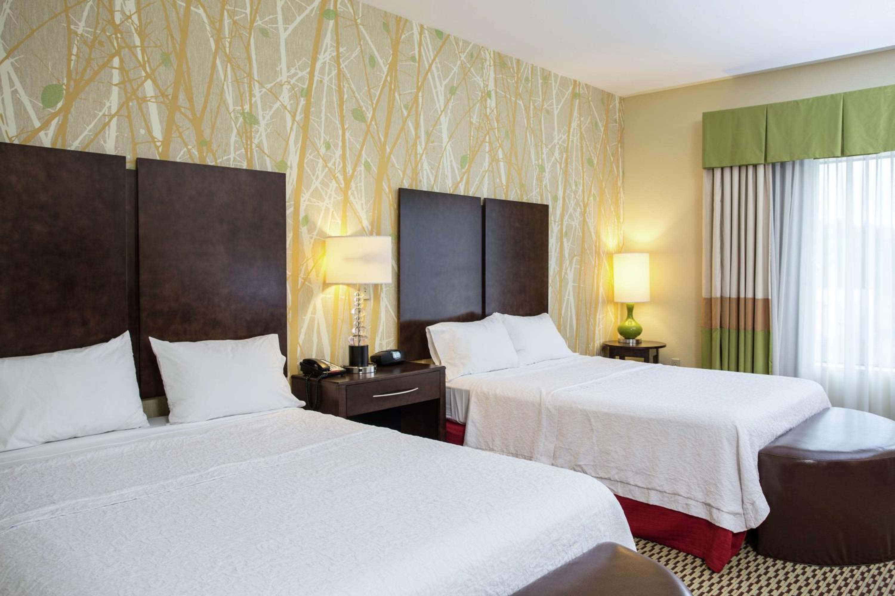 Queen Room with Two Queen Beds - Mobility and Hearing Access/Non-Smoking photo 2