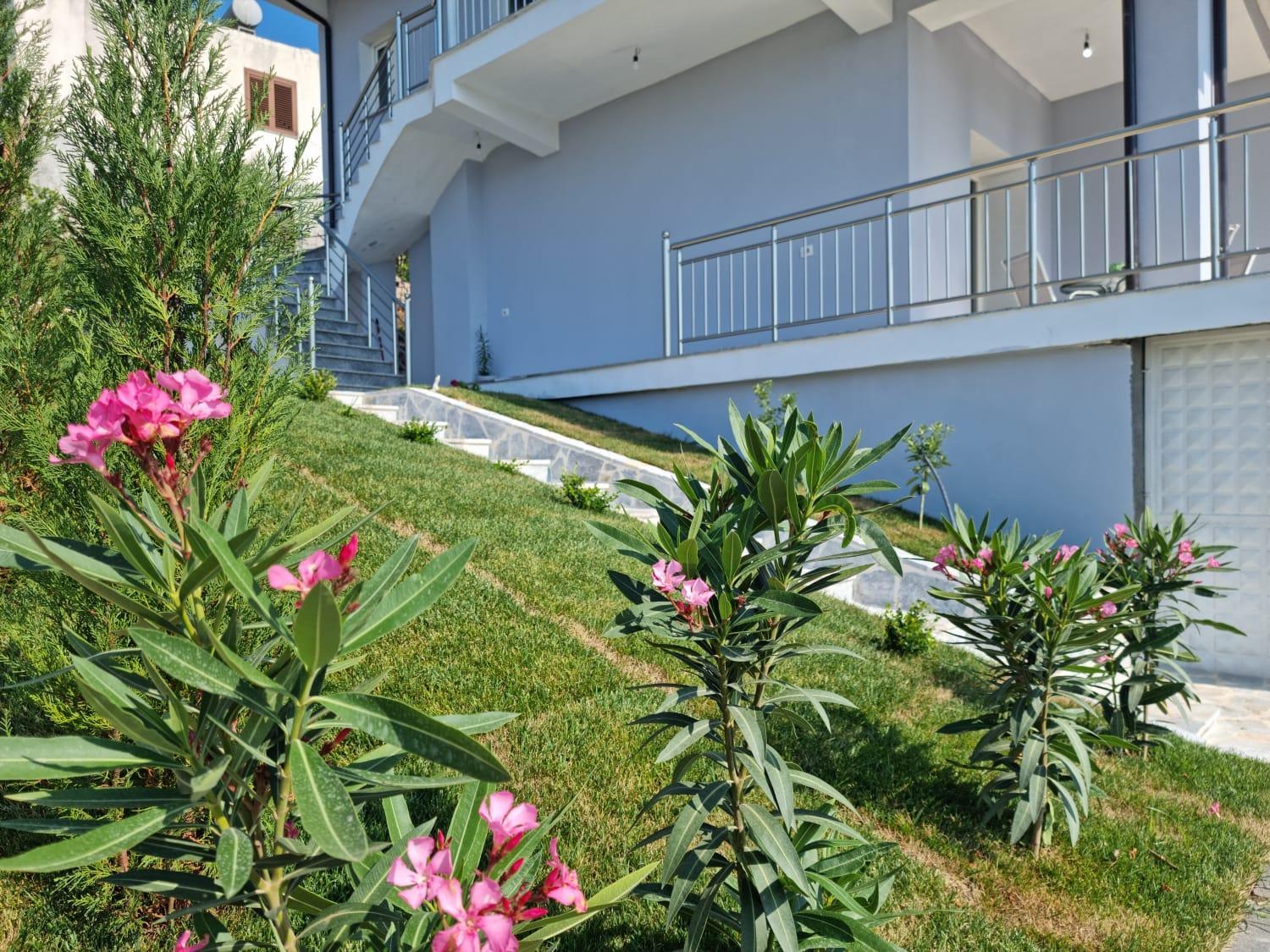 Apartment with Mountain View photo 2