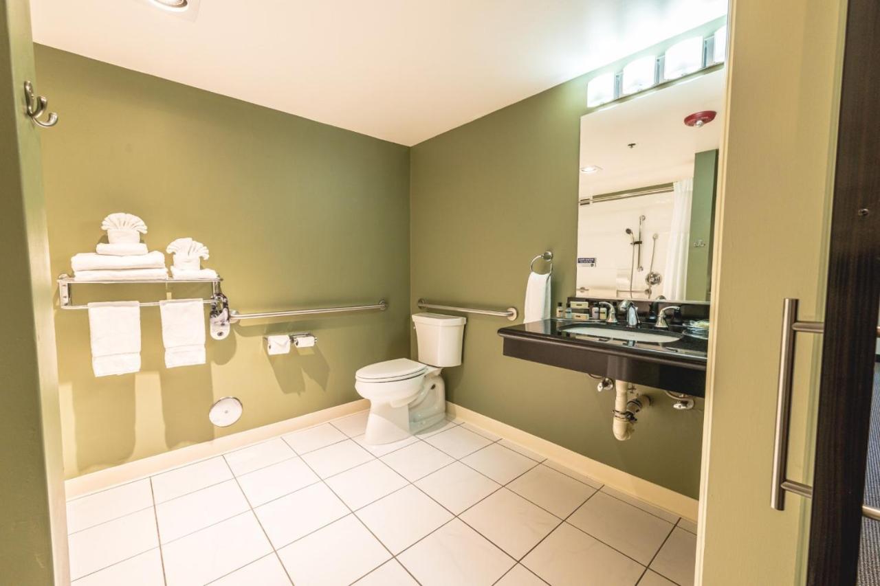 King Room - Disability Access - Photo 4