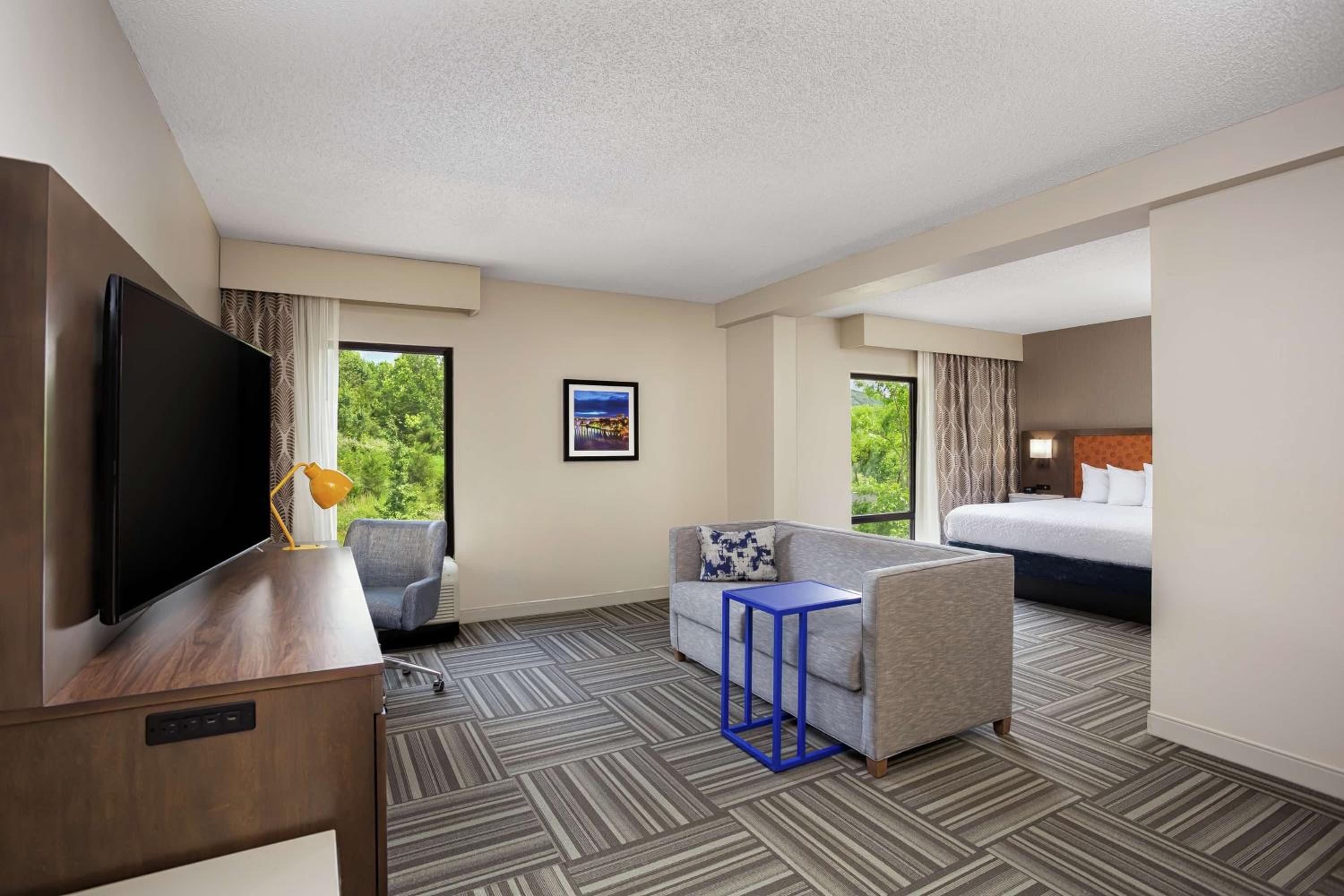 Deluxe King Studio with Sofa Bed - Photo 2