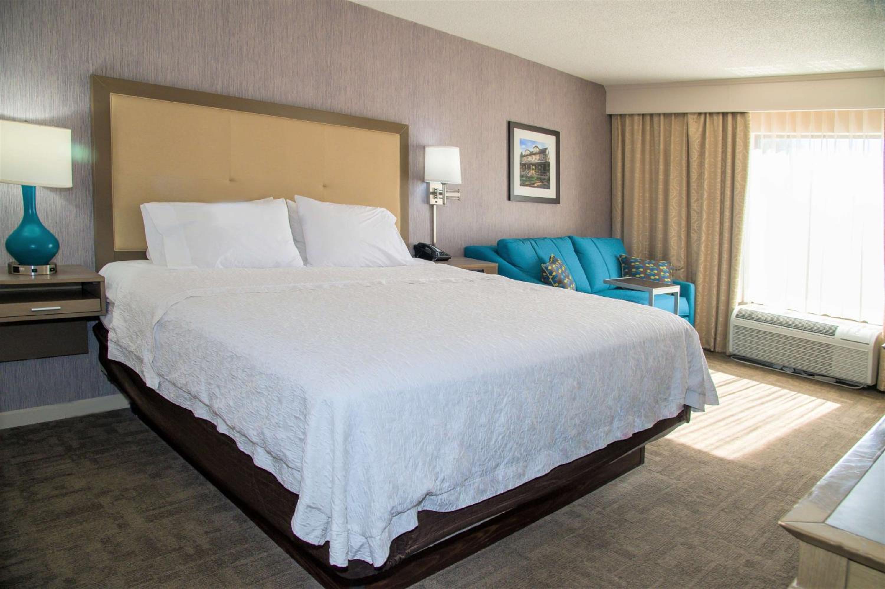 King Room - Non-Smoking - Photo 1