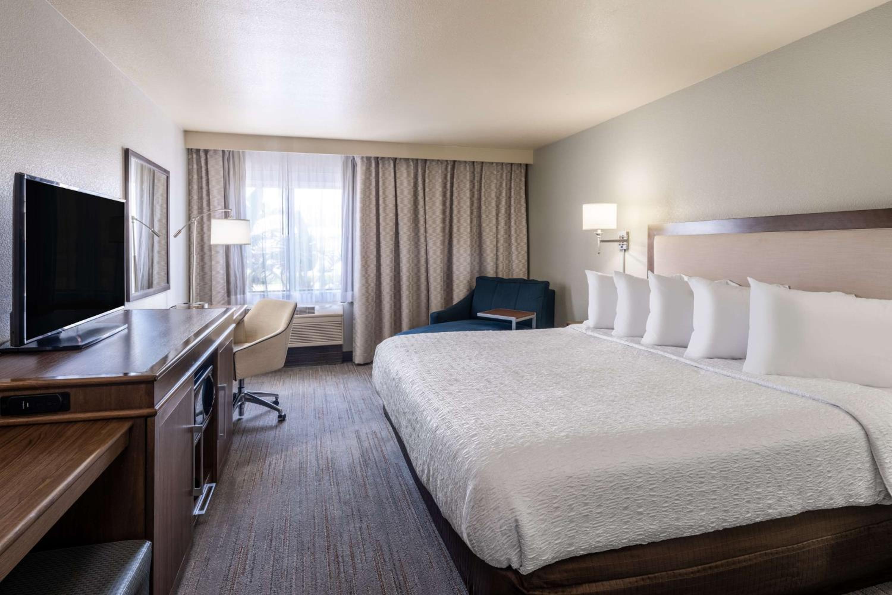 King Room - Photo 8