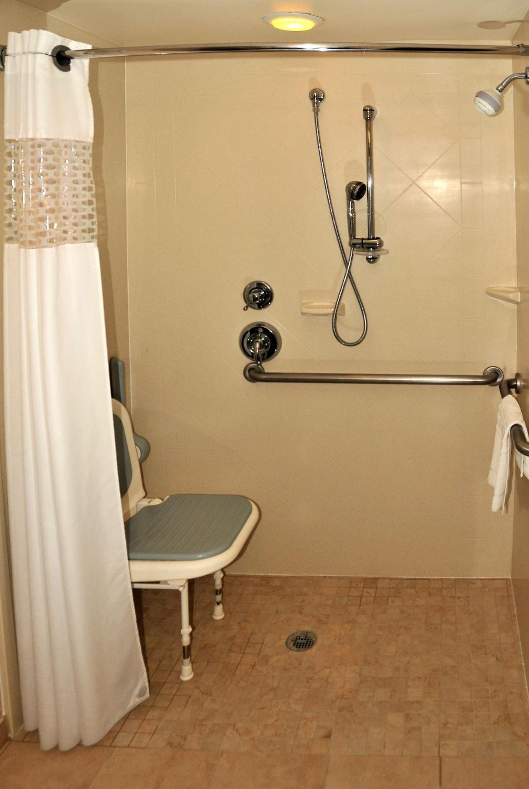 King Room with Roll-In Shower - Disability Access