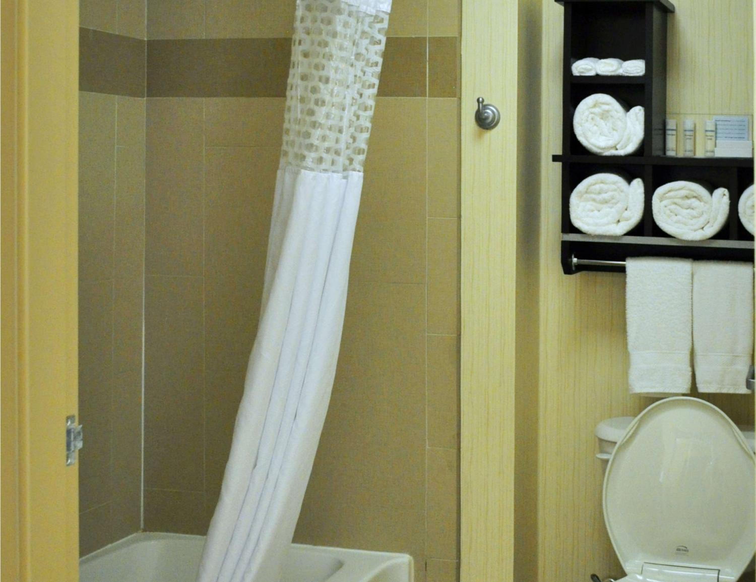 King Studio Suite - Non-Smoking - Photo 9