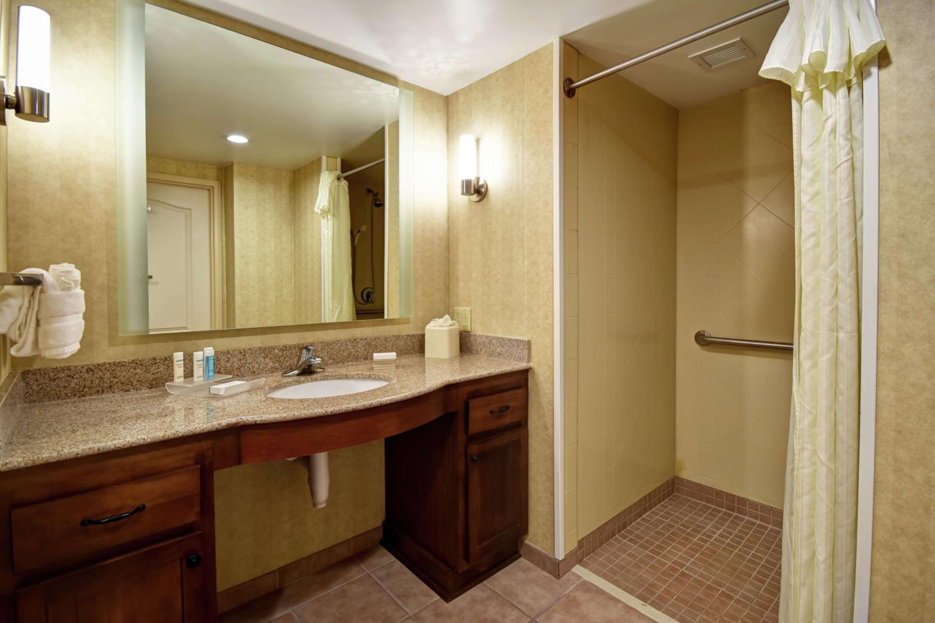 King Studio with Roll-In Shower - Mobility Access/Non-Smoking - Photo 4