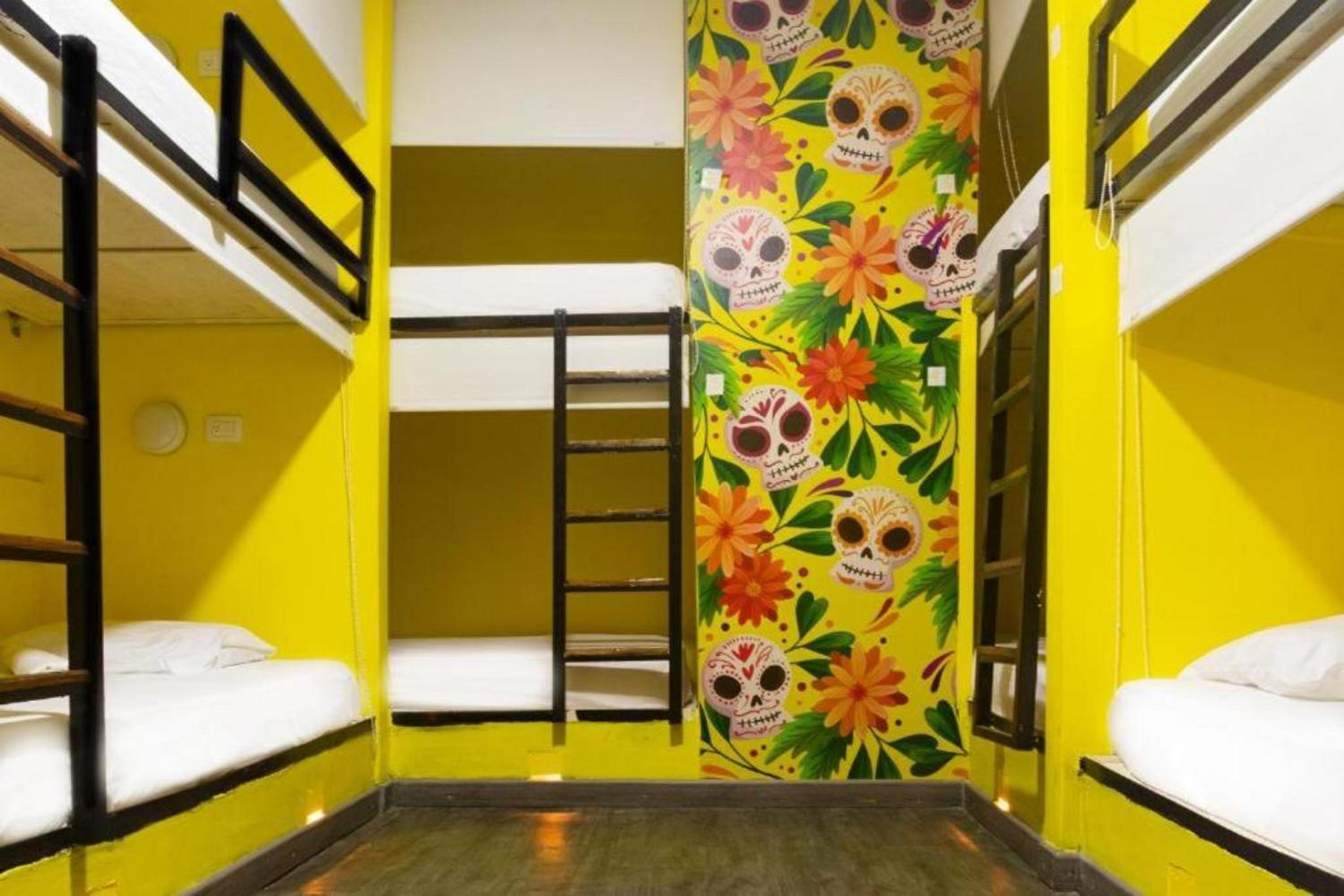 Single Bed in Female Dormitory Room