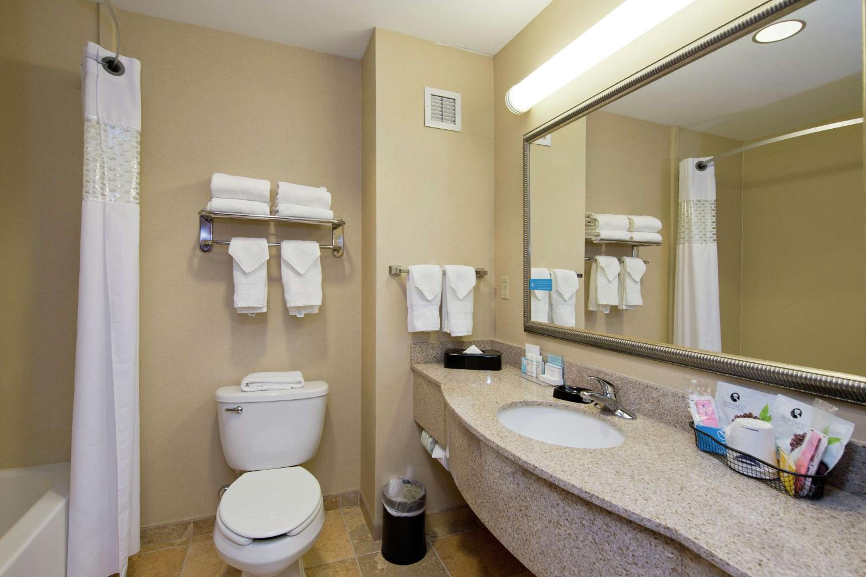 King Room with Accessible Tub - Mobility and Hearing Access/Non-Smoking - Photo 8
