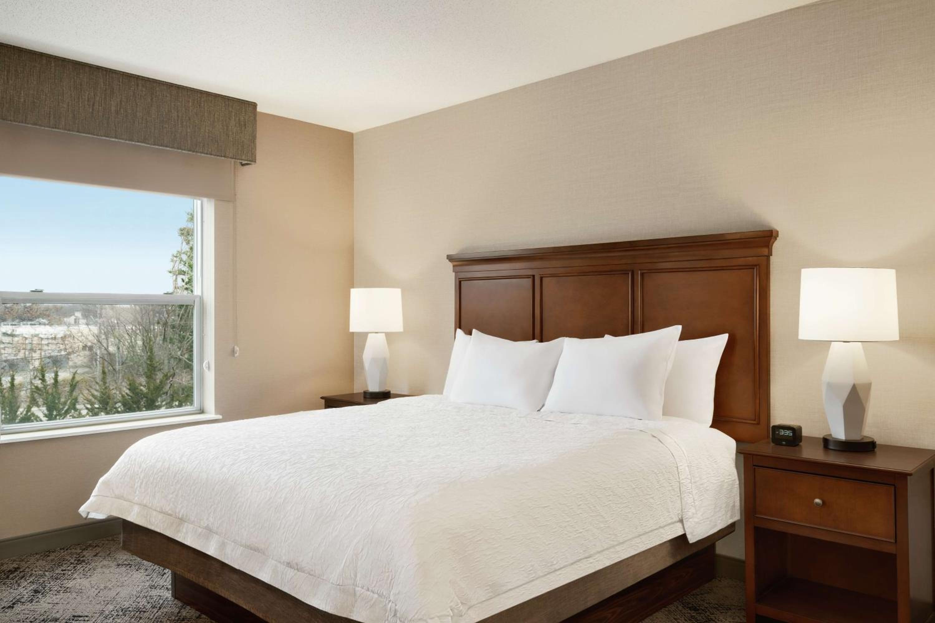 King Studio Suite - Photo 4