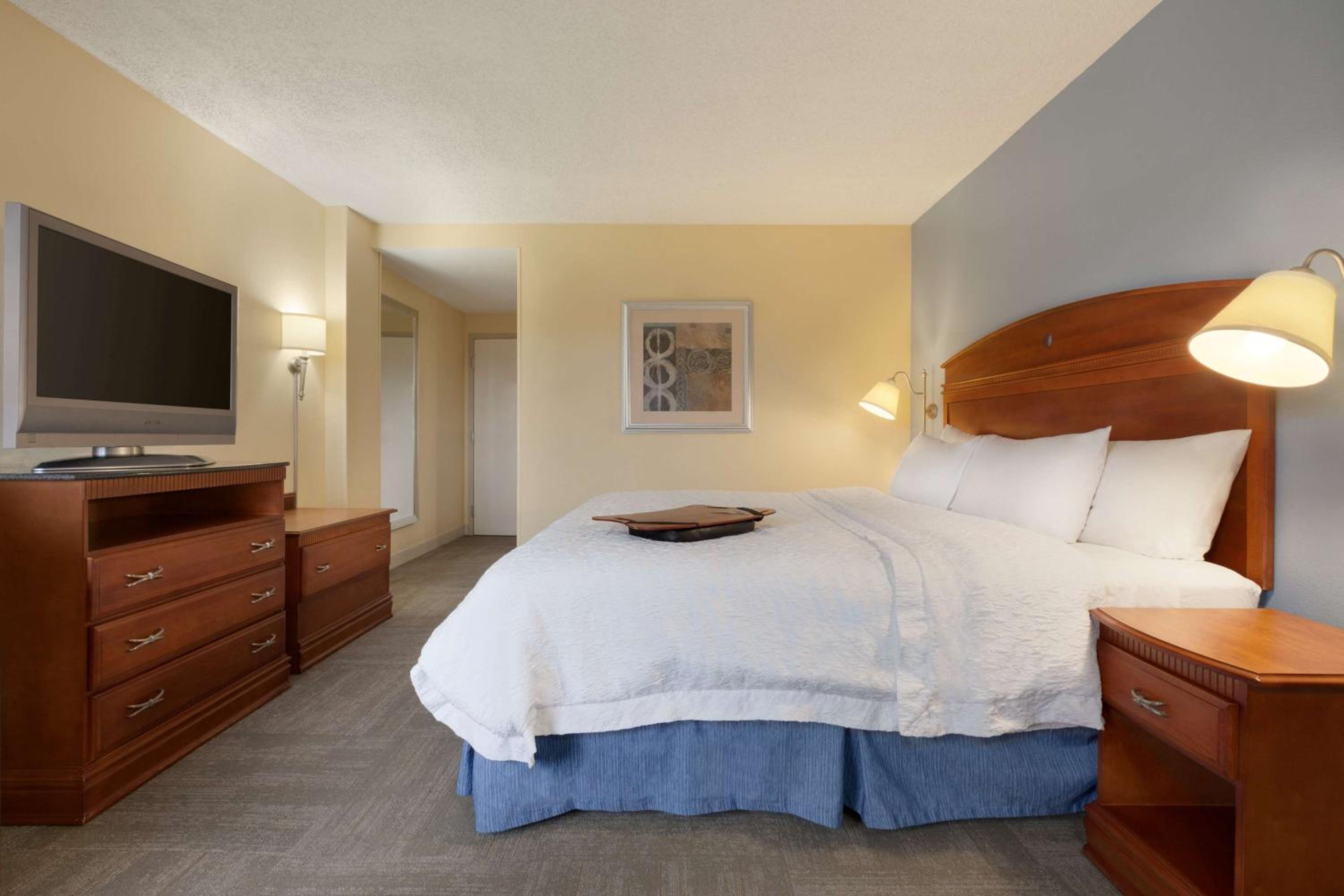 Accessible Room, 1 Double Bed (Mobility Tub) photo 3