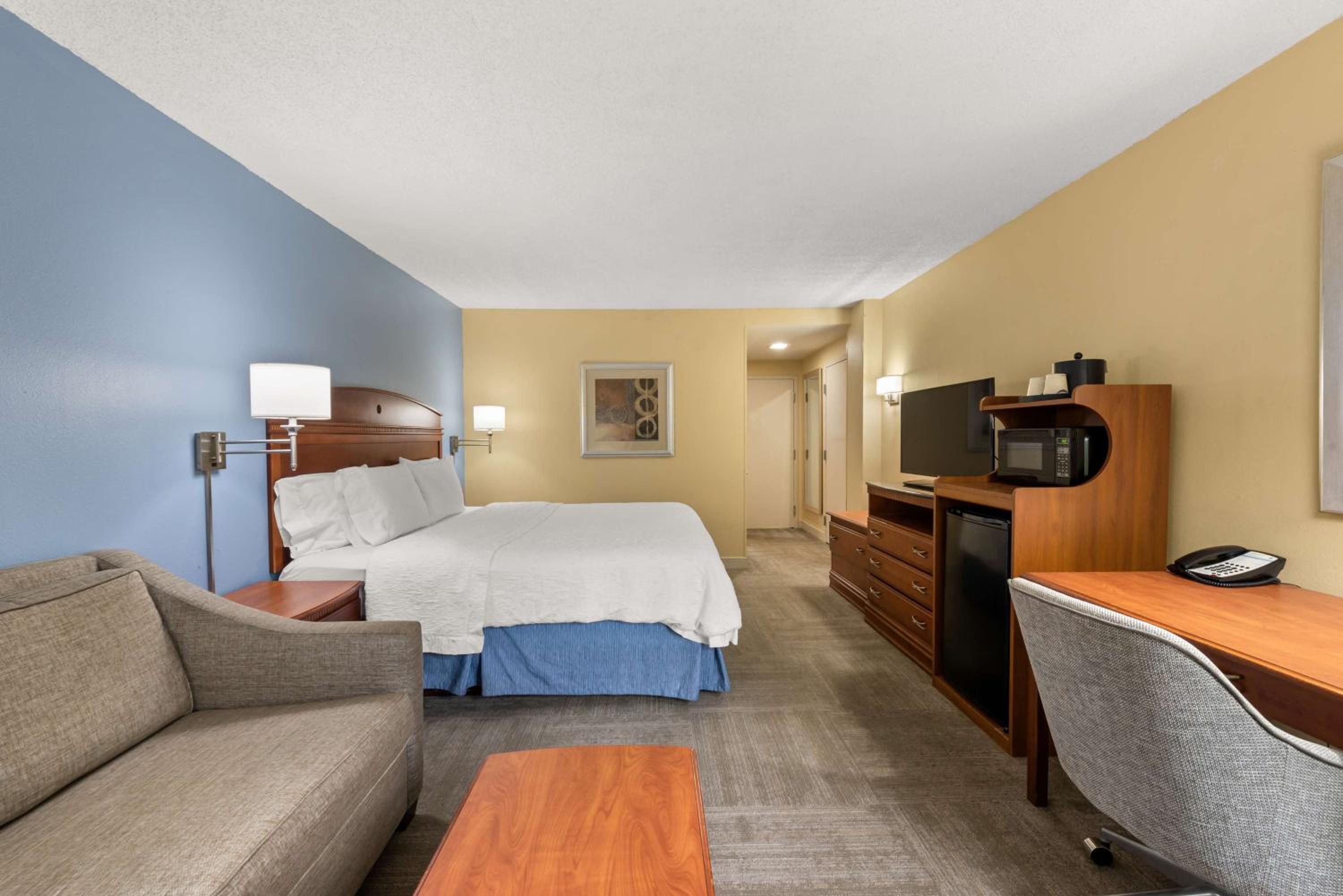 Larger Room, 1 King Bed & Sofa Bed photo 3