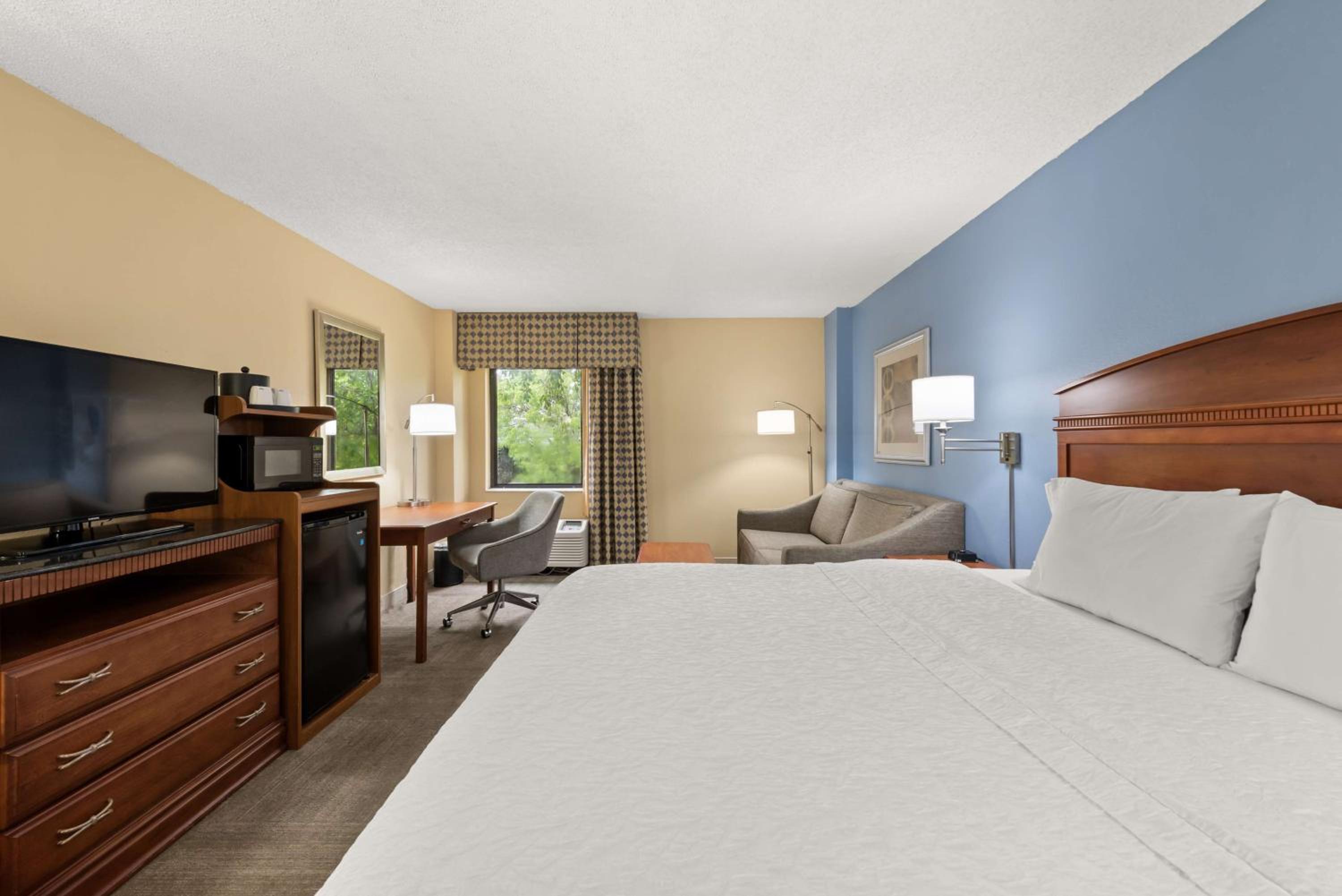 Larger Room, 1 King Bed & Sofa Bed photo 2