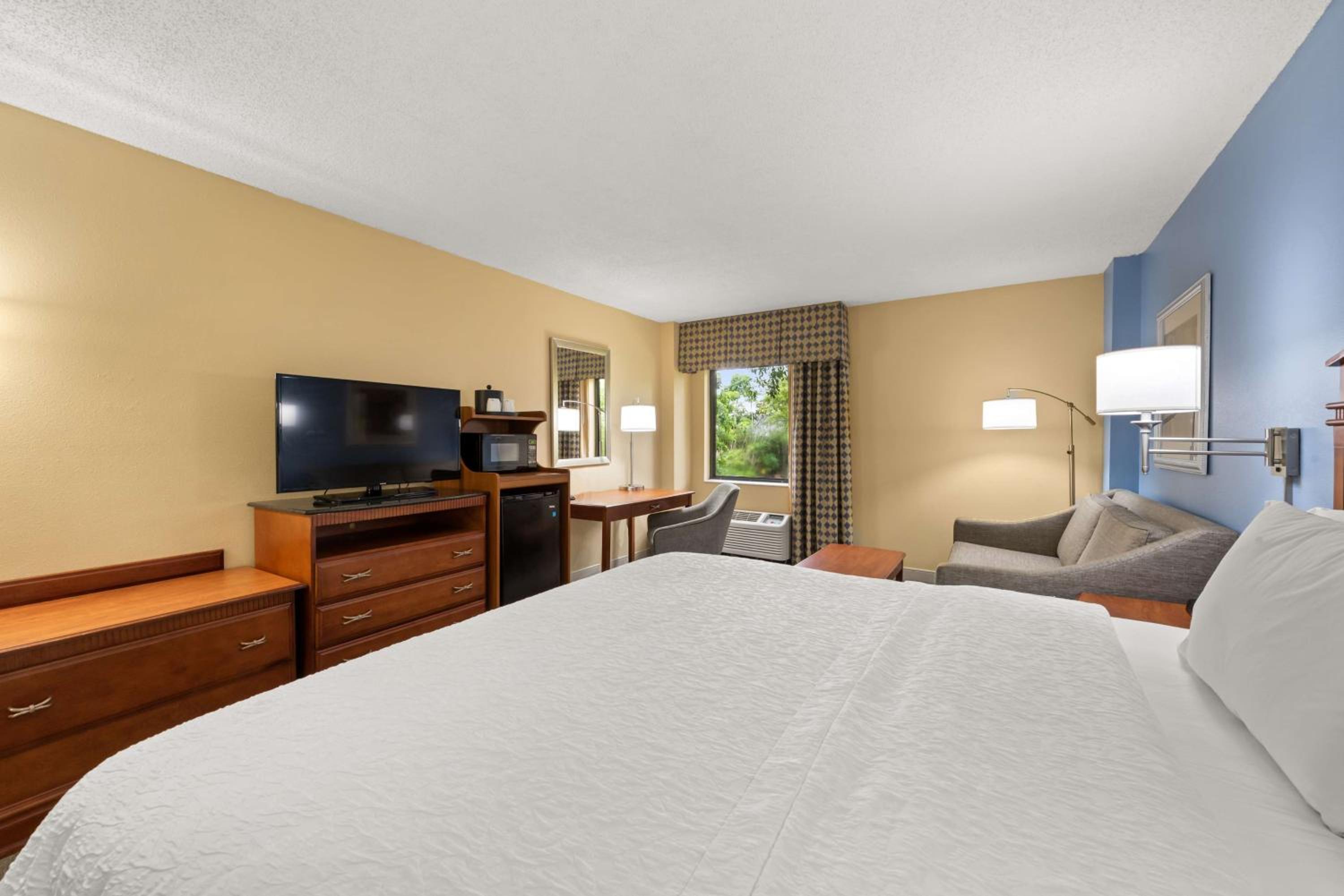 Larger Room, 1 King Bed & Sofa Bed photo 3