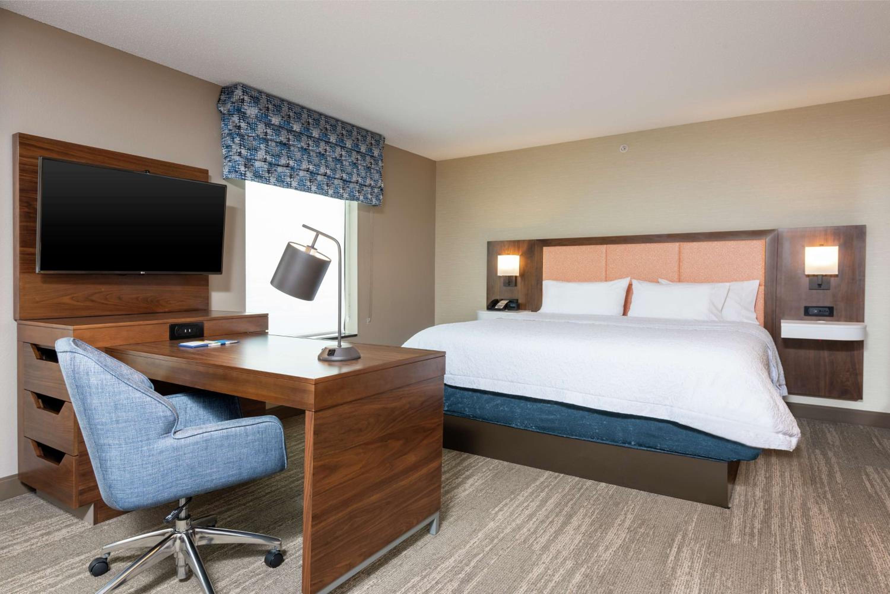 King Studio Suite with Sofa Bed - Photo 4