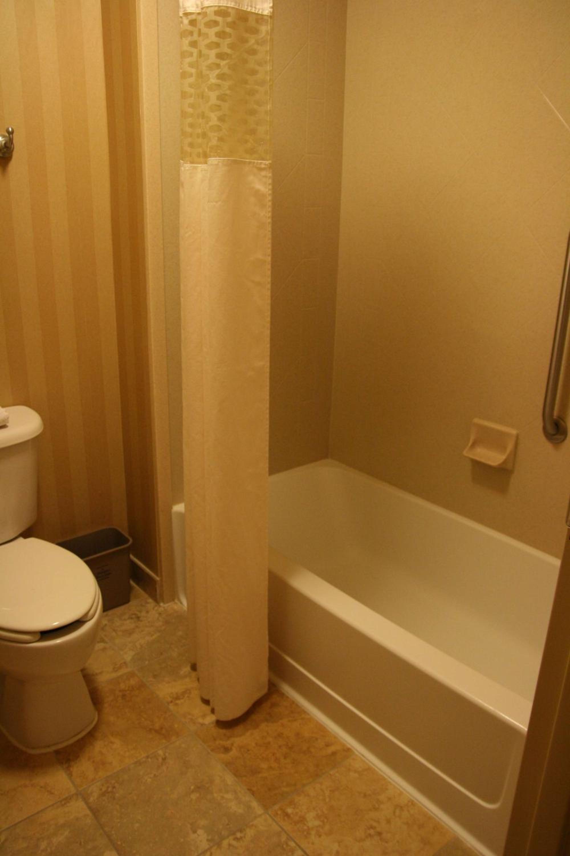 King Studio Suite with Sofa Bed - Non-Smoking - Photo 2