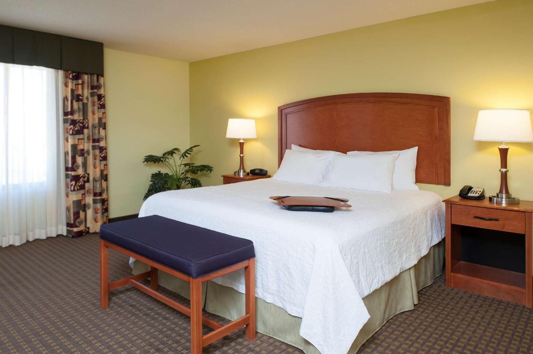 King Room with King Bed - Non-Smoking - Photo 4