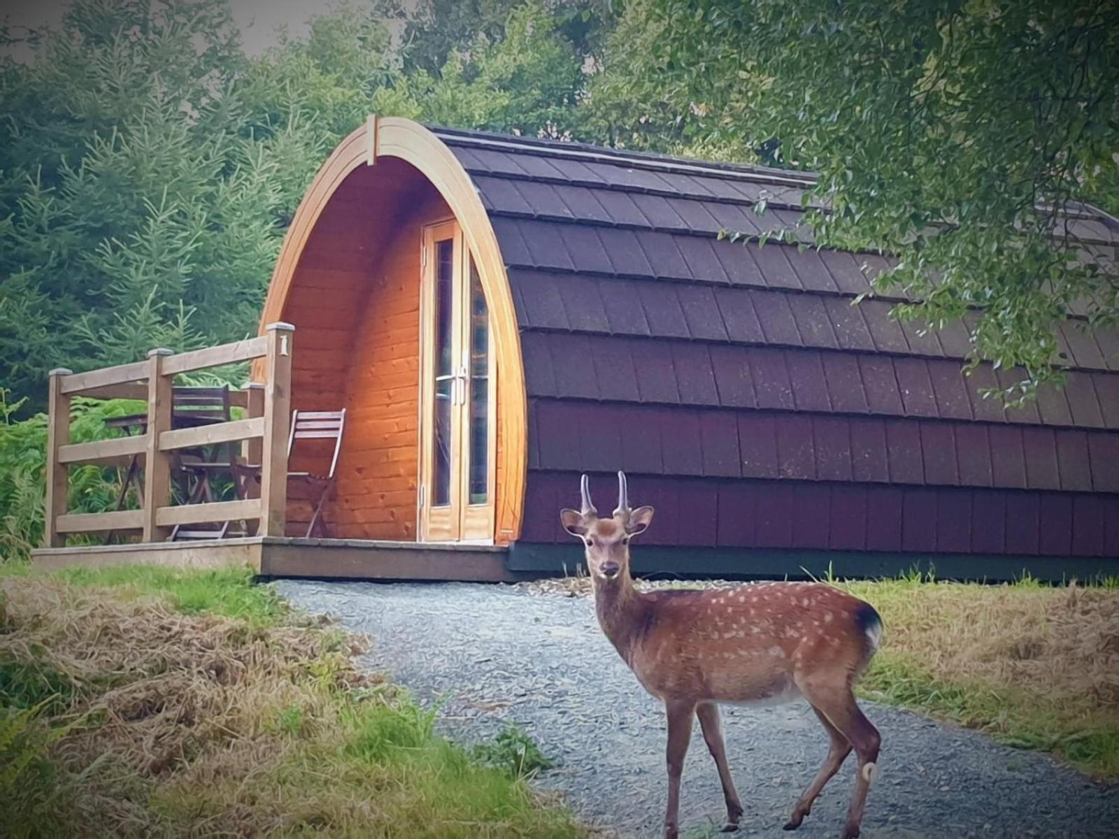 Double Room with Mountain View - Photo 6