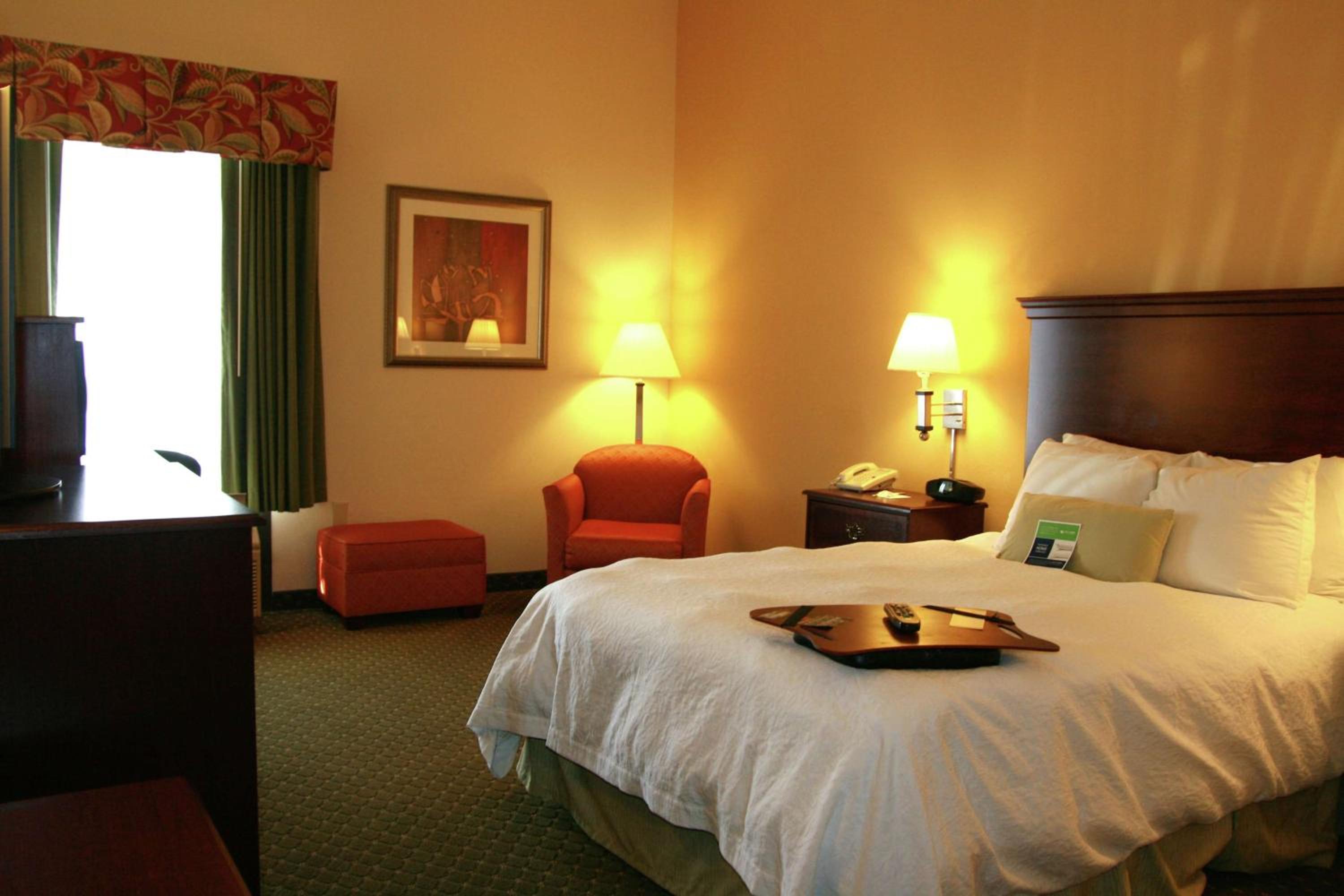 Double Room with Roll-In Shower - Mobility and Hearing Accessible/Non-Smoking - Photo 6