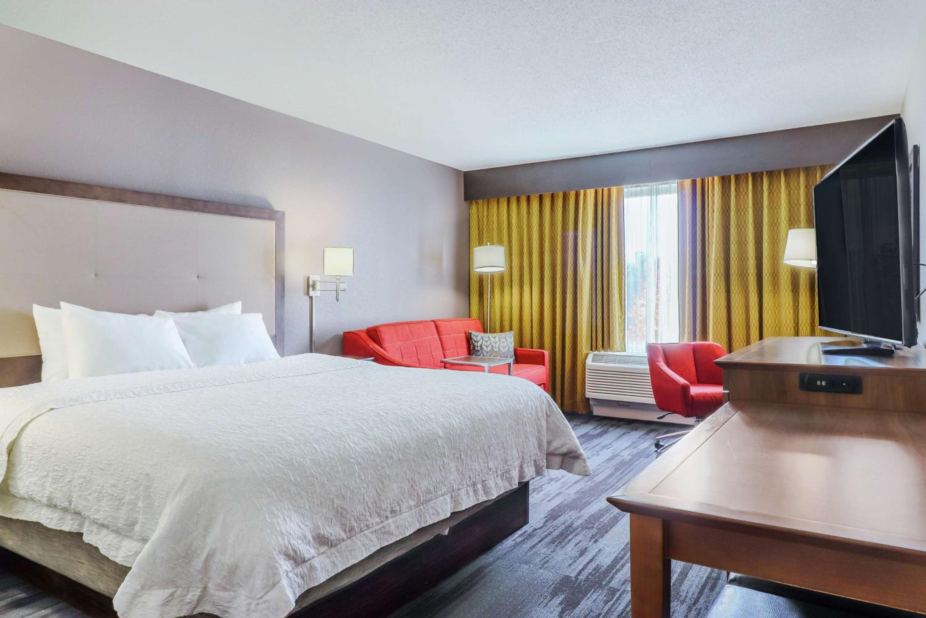 King Room with Sofa Bed