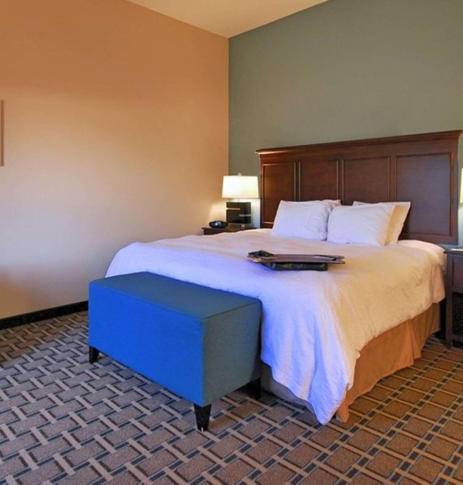 King Studio Suite with Sofa Bed - Non-Smoking - Photo 5