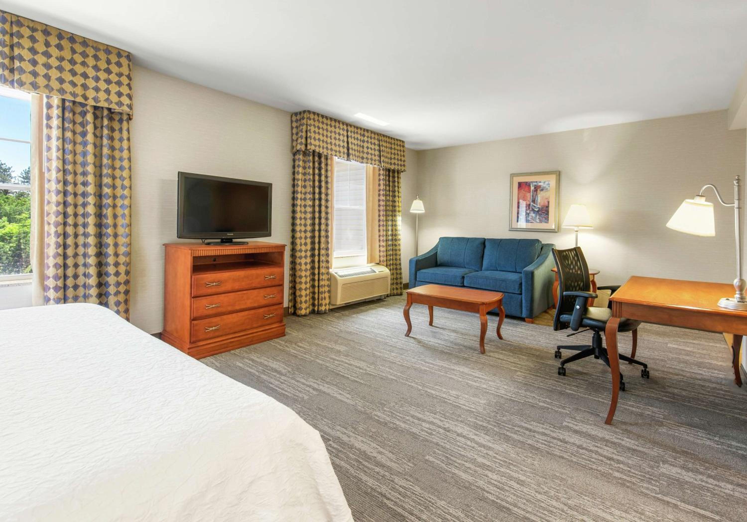 King Studio Suite with Sofa Bed - Non-Smoking - Photo 2