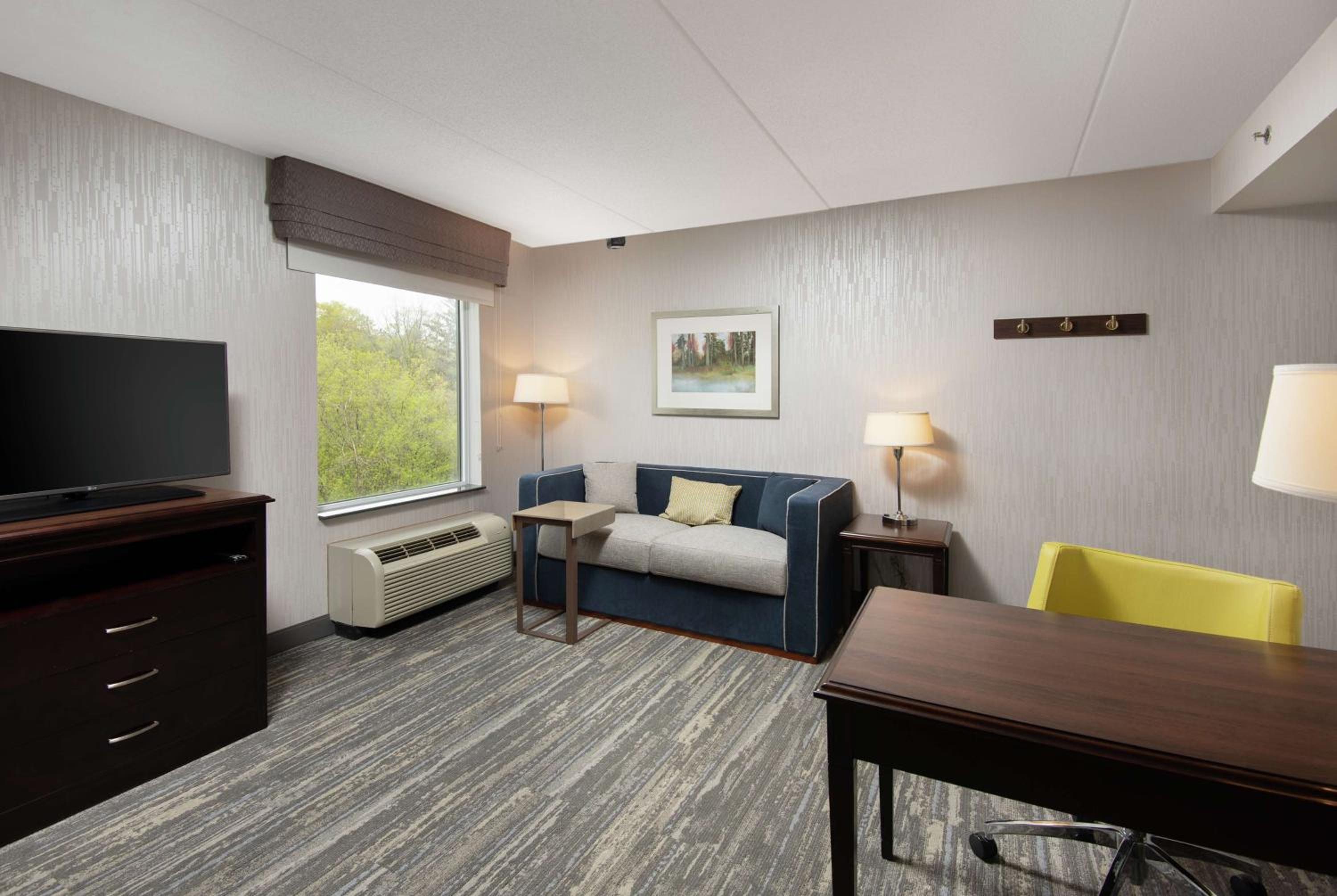 King Studio Suite with Sofa Bed - Non-Smoking - Photo 3