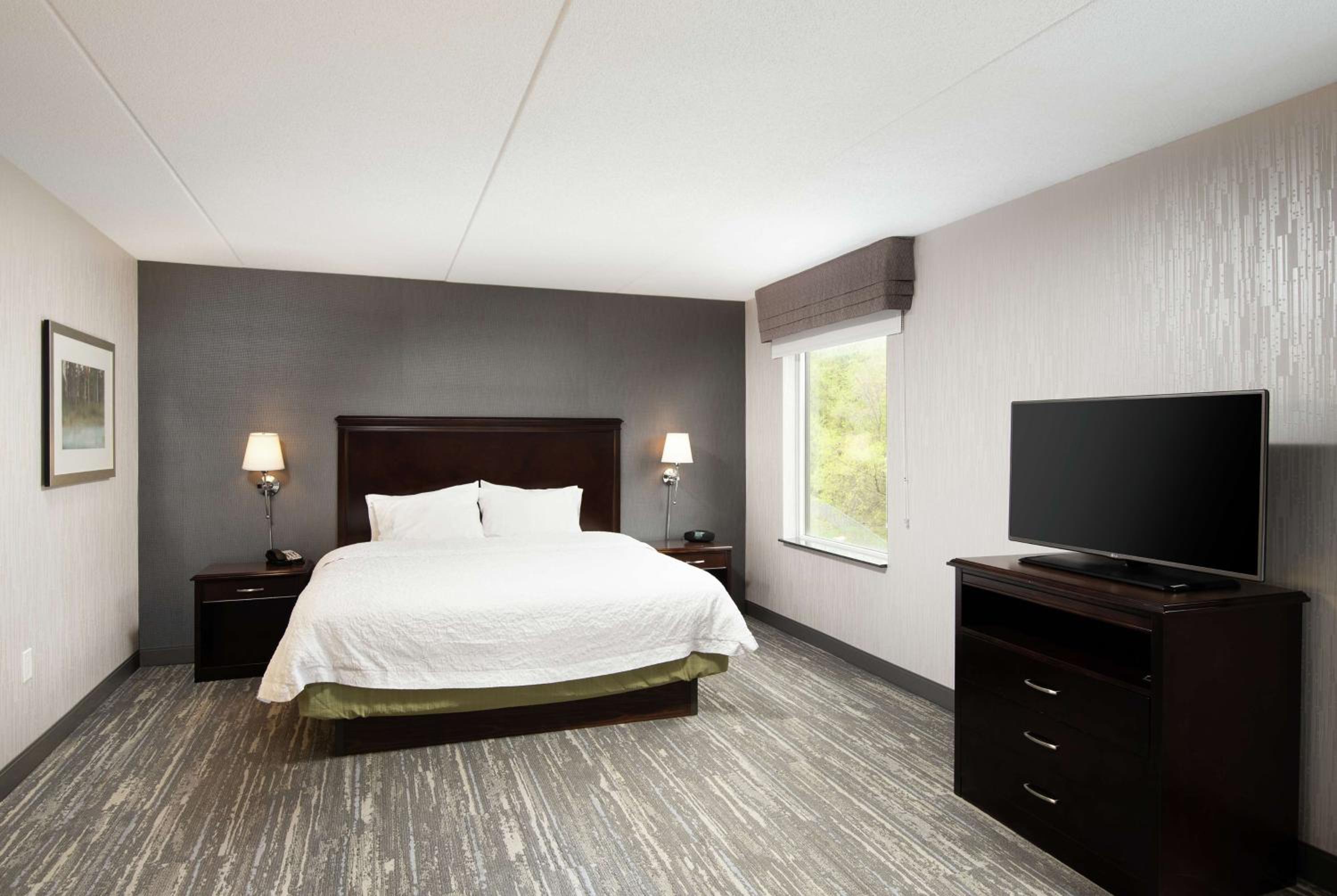 King Studio Suite with Sofa Bed - Non-Smoking - Photo 1