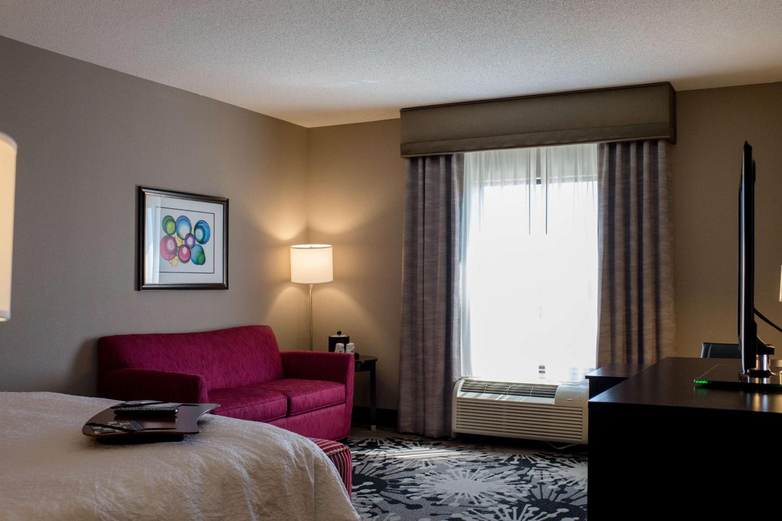 King Studio Suite with Sofa Bed - Non-Smoking - Photo 8