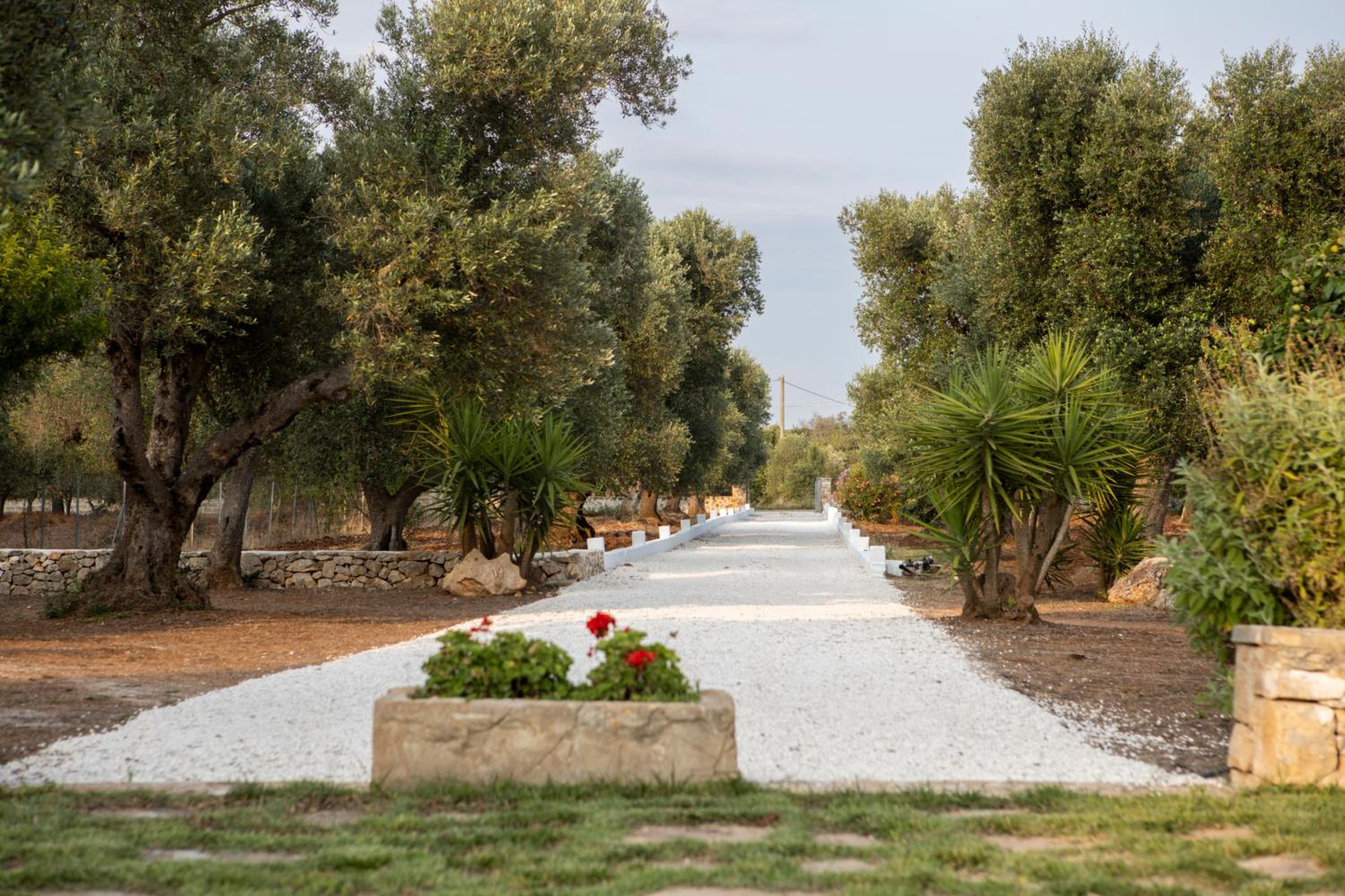 Villa photo 3