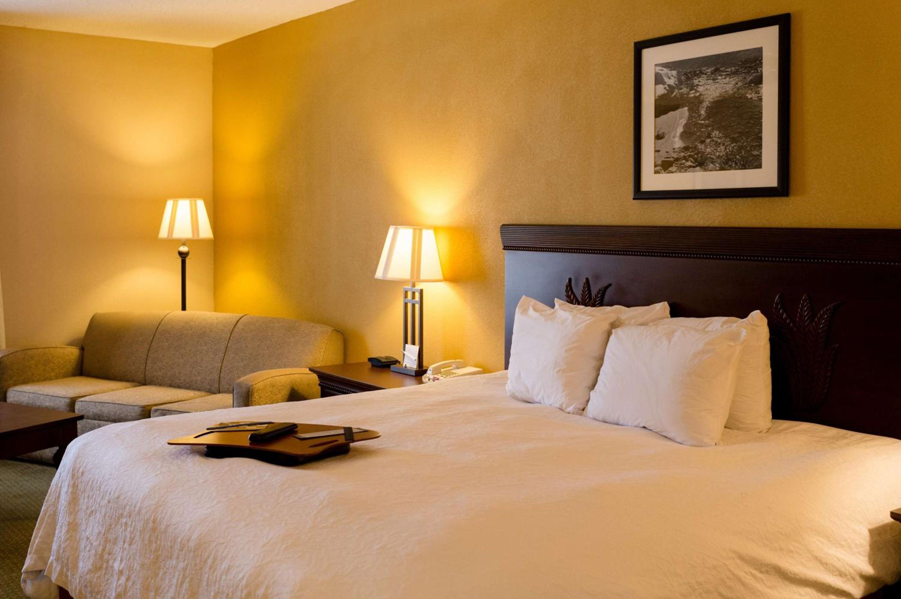 One-Bedroom King Suite - Non-Smoking - Photo 11