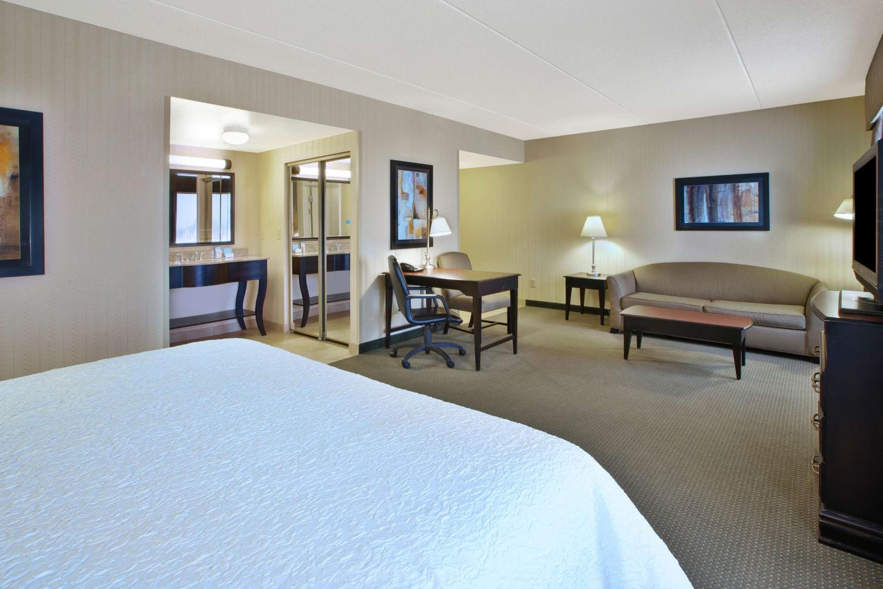 King Studio Suite with Sofa Bed - Non-Smoking - Photo 2