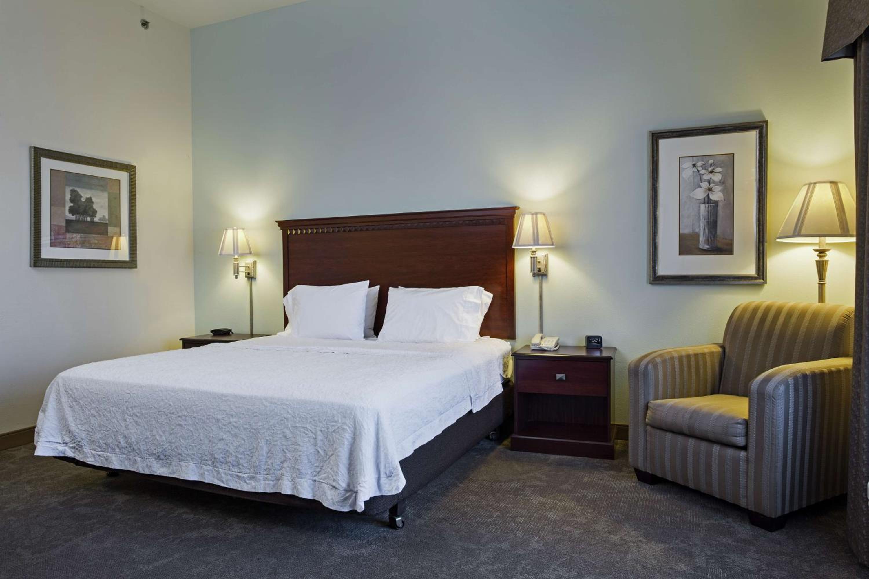 King Room with Accessible Tub - Mobility and Hearing Access/Non-Smoking - Photo 3