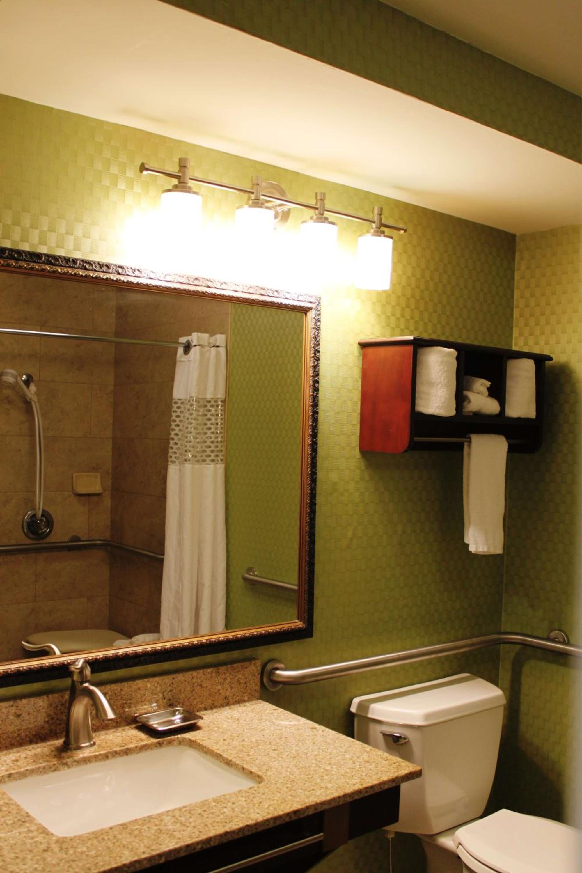 King Room With Roll-In Shower - Mobility Access/Non-Smoking photo 3