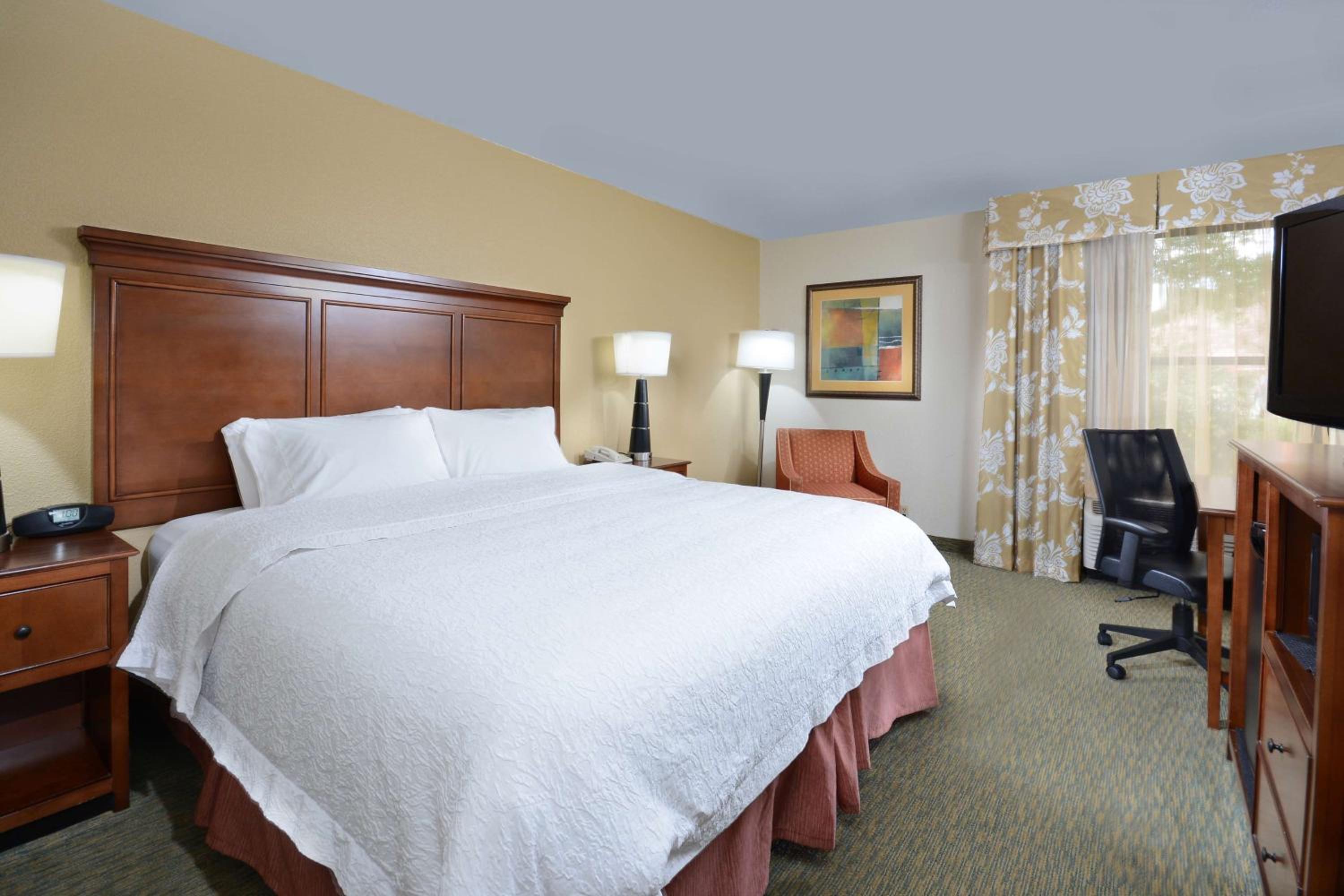 King Room - Non-Smoking - Photo 1