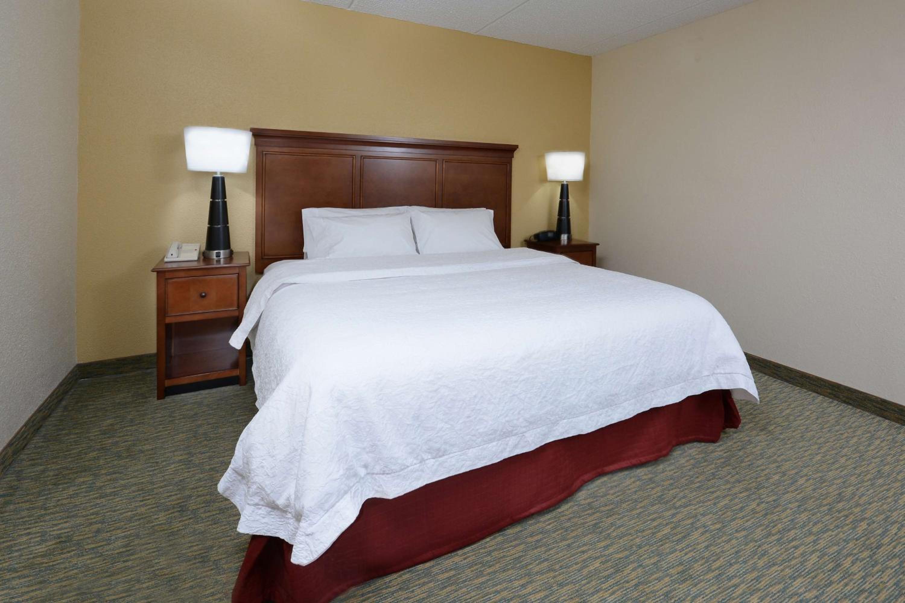 King Room with Bath Tub - Mobility/Hearing Accessible - Non-Smoking - Photo 5