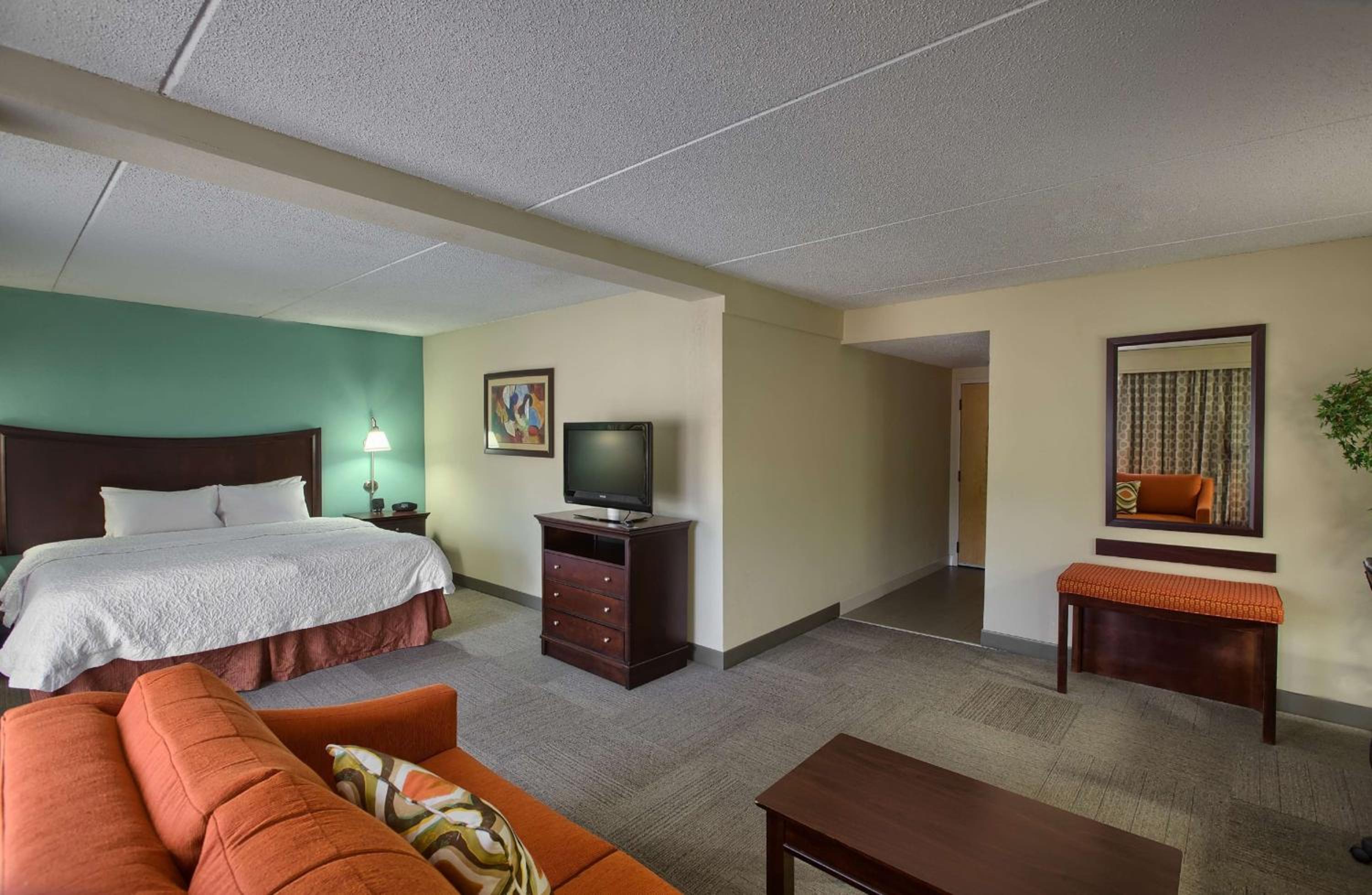 One-Bedroom King Suite - Non-Smoking photo 2