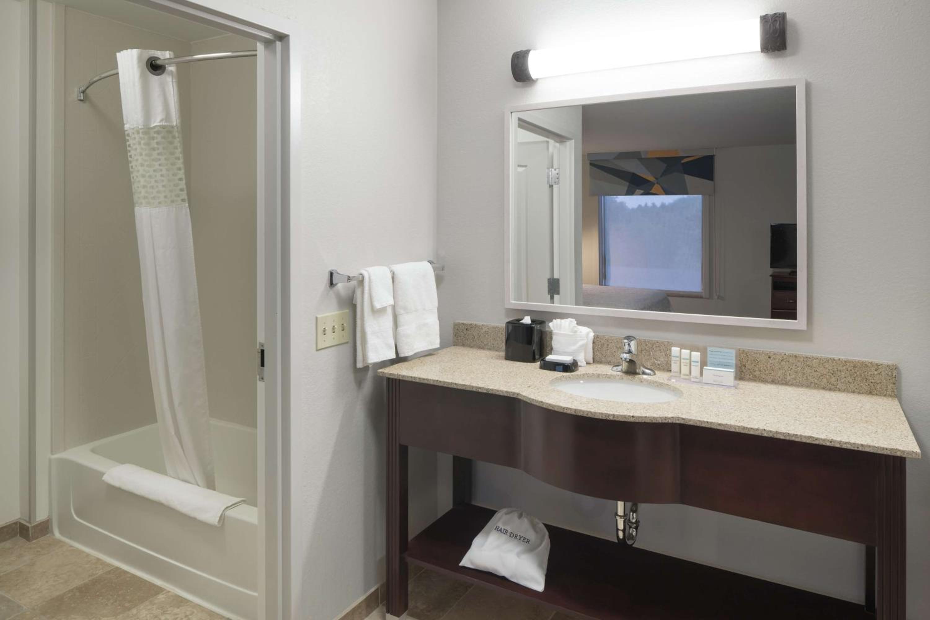 King Studio Suite - Non-Smoking - Photo 4