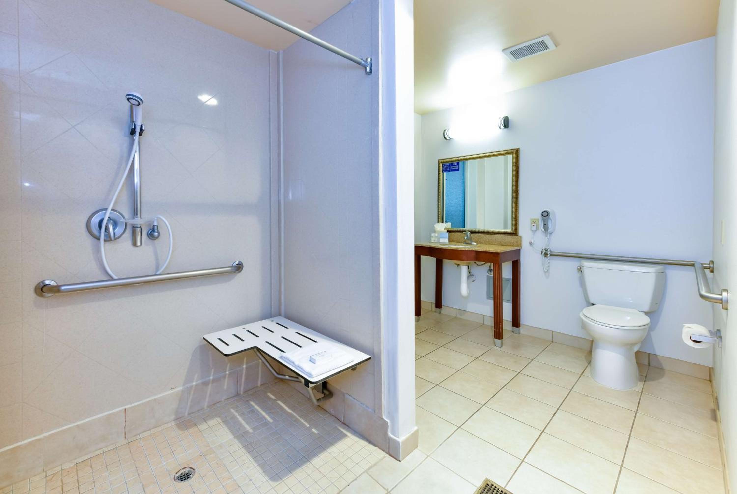 King Studio with Roll-In Shower - Mobility and Hearing Access/Non-Smoking - Photo 6