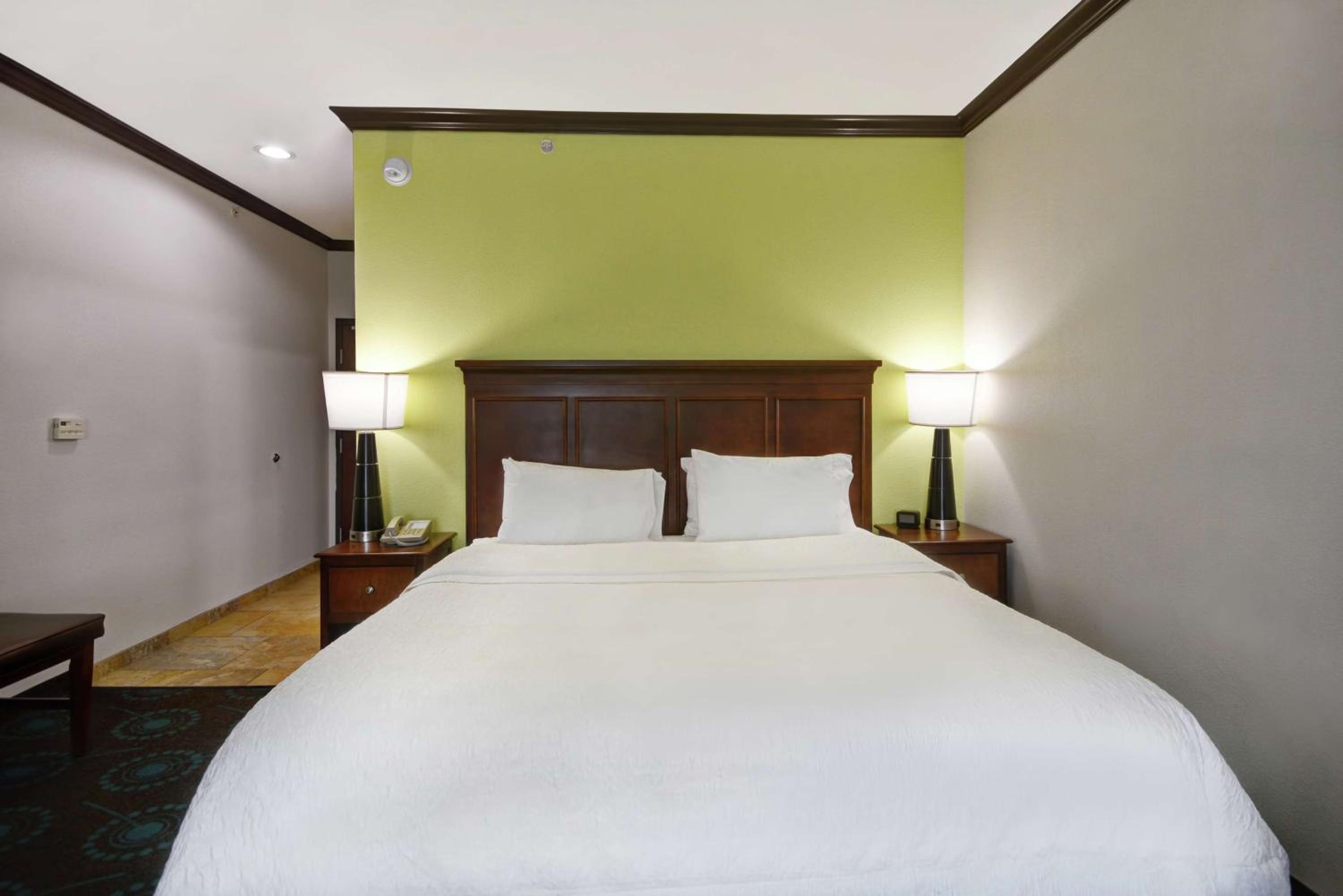 King Studio Suite with Sofa Bed - Non-Smoking - Photo 4