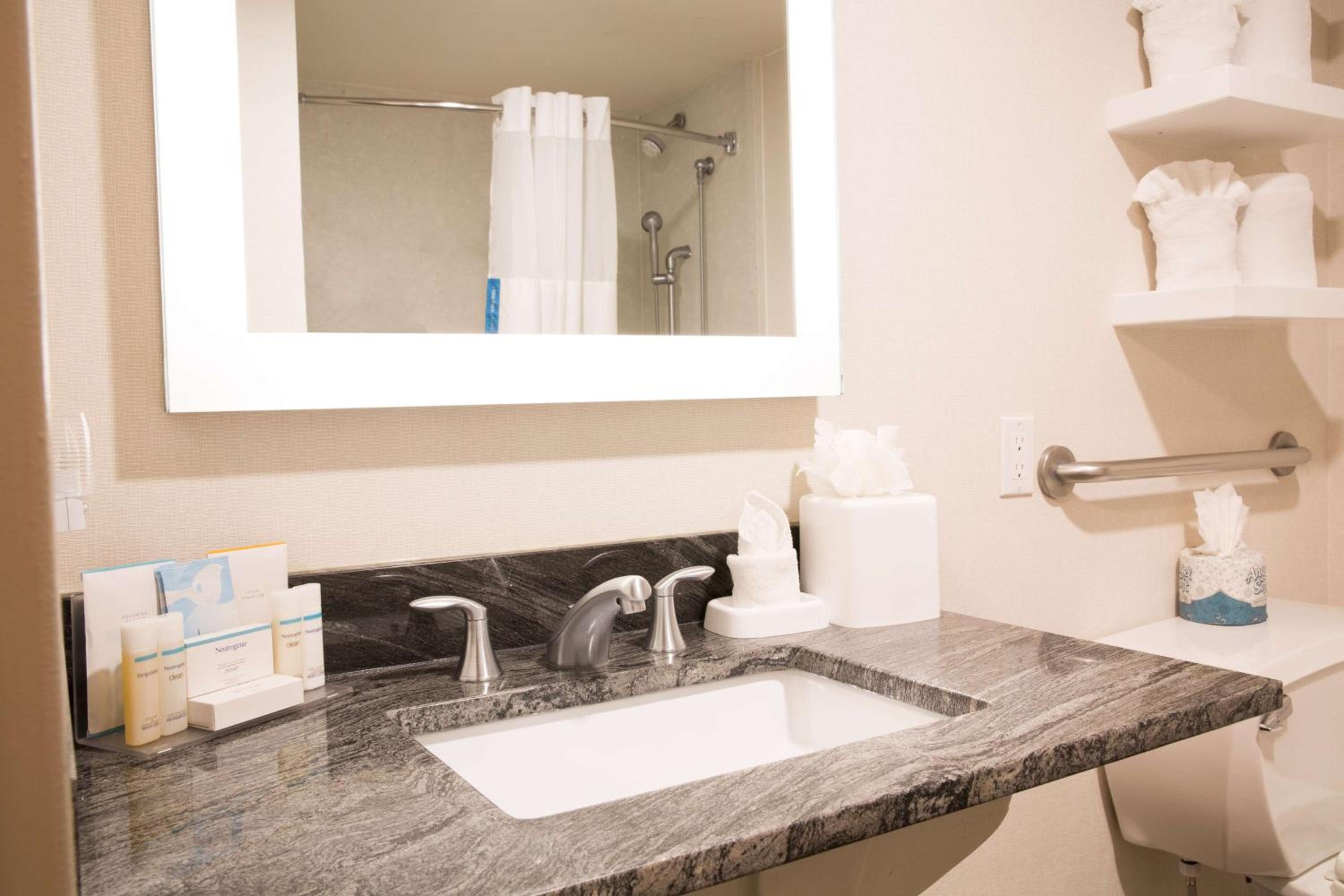 King Suite Accessible Room - Photo 8