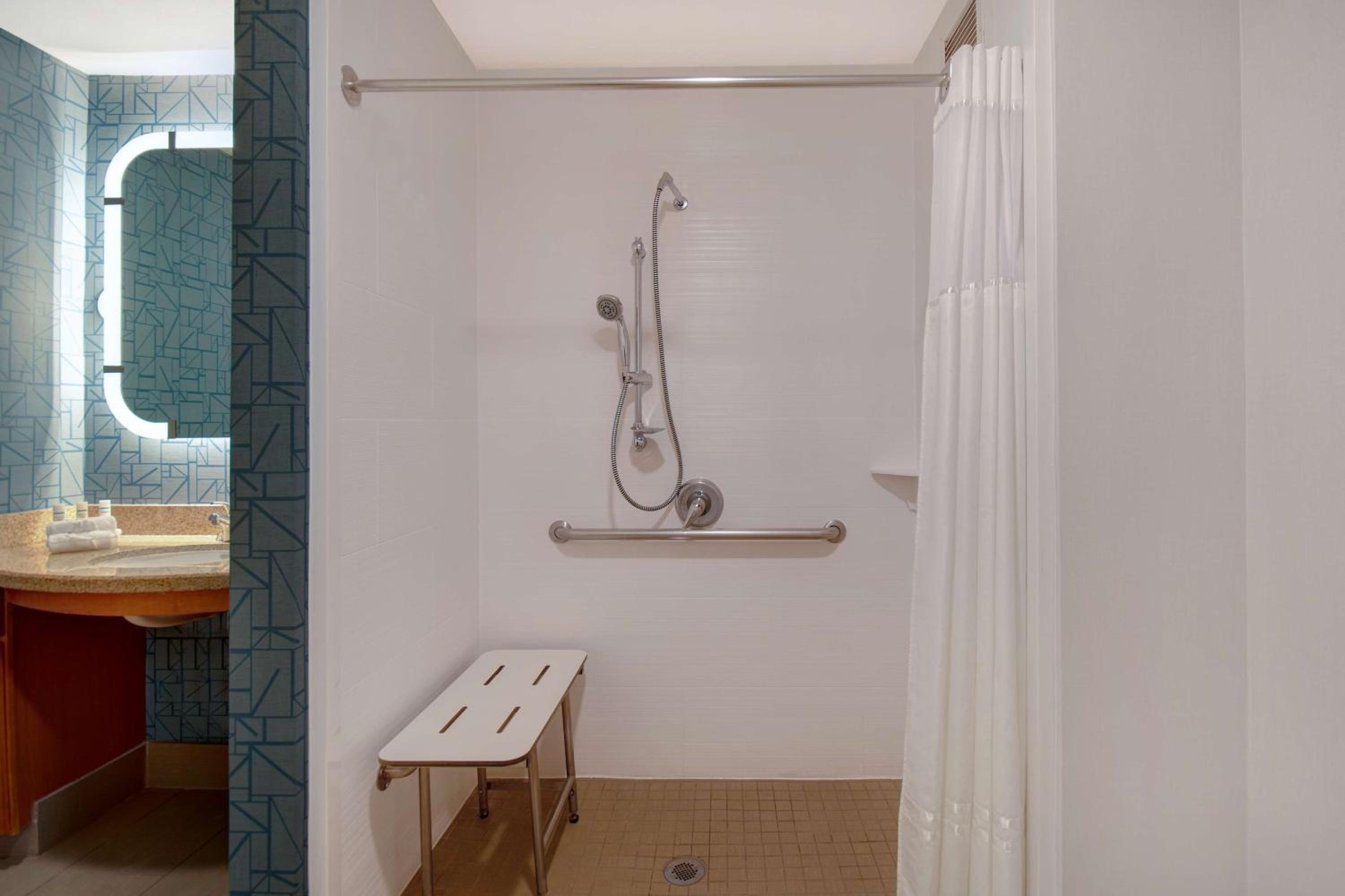King Suite with Roll-In Shower - Mobility and Hearing Access/Non-Smoking - Photo 4