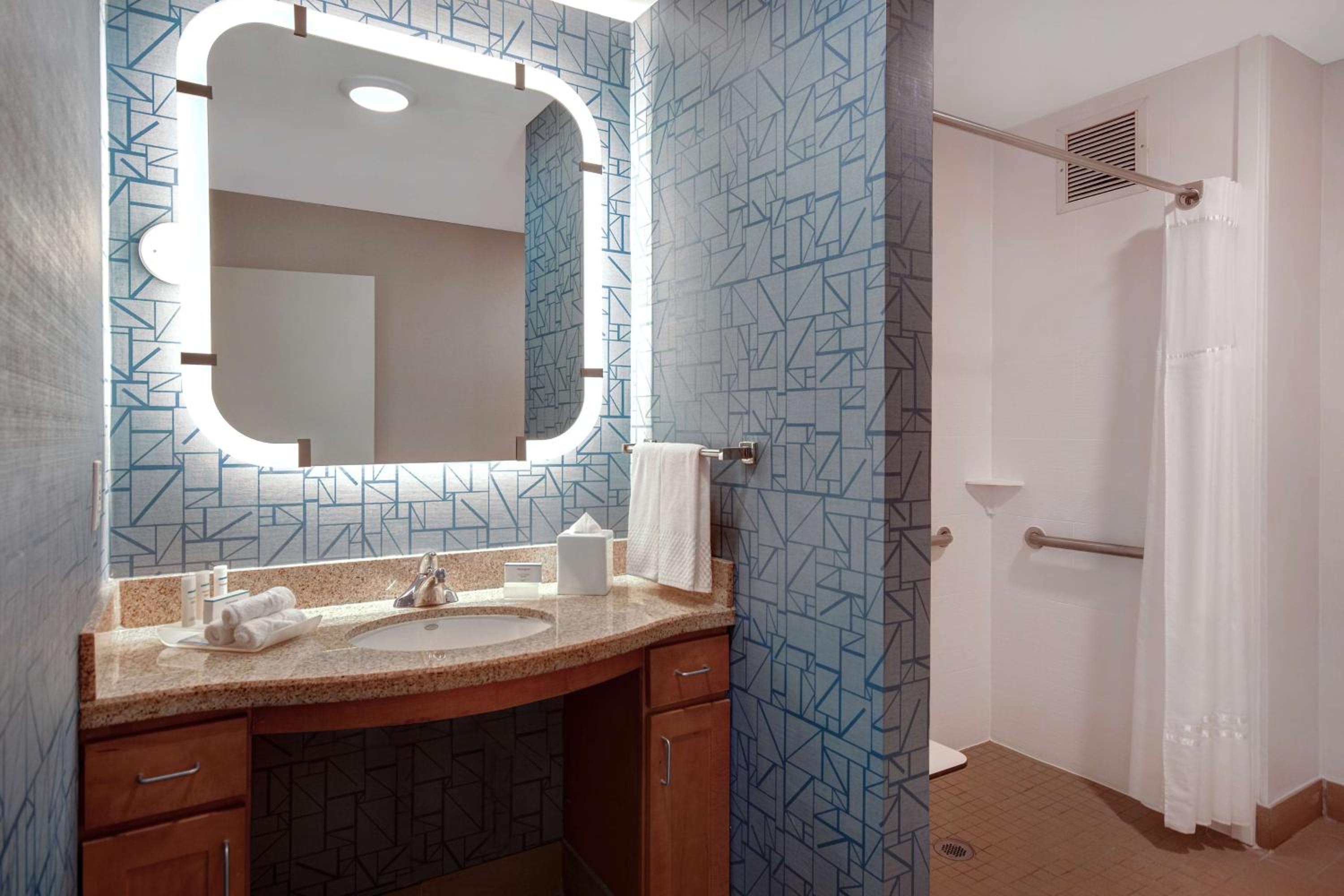 King Suite with Roll-In Shower - Mobility and Hearing Access/Non-Smoking - Photo 5