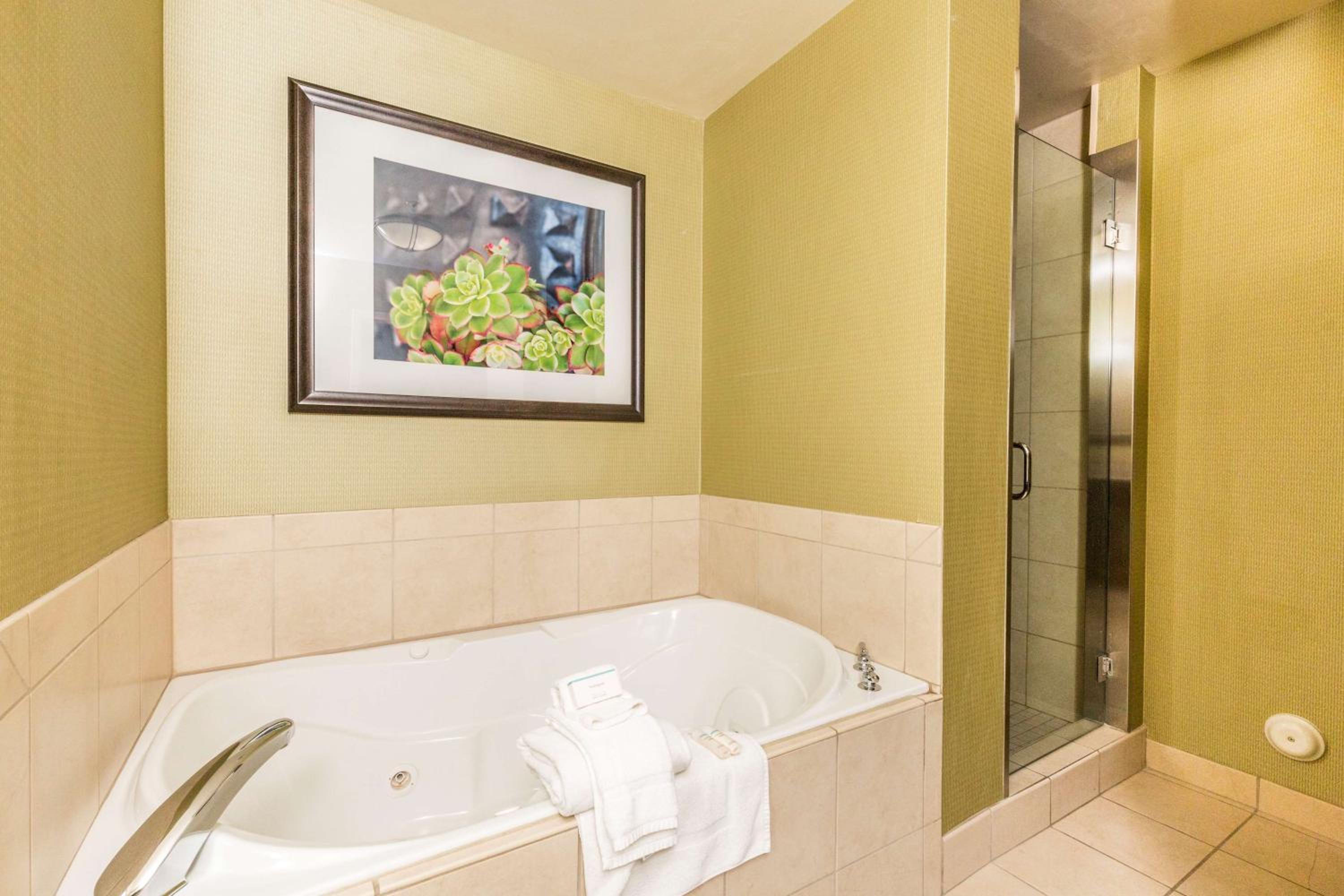 One-Bedroom King Suite with Whirlpool and Sofa Bed - Photo 3