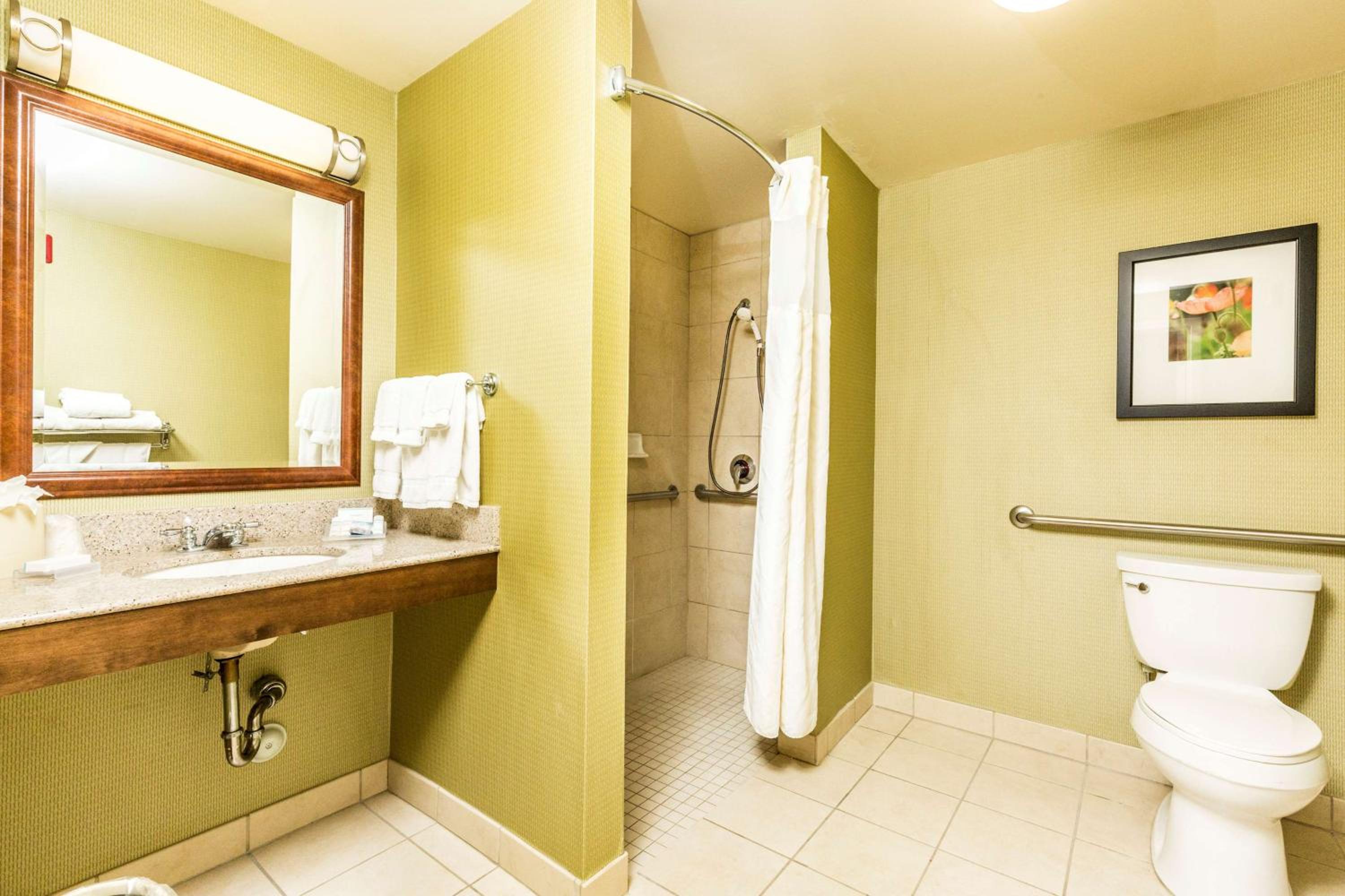 King Room with Roll-In Shower - Mobility/Hearing Accessible - Photo 2