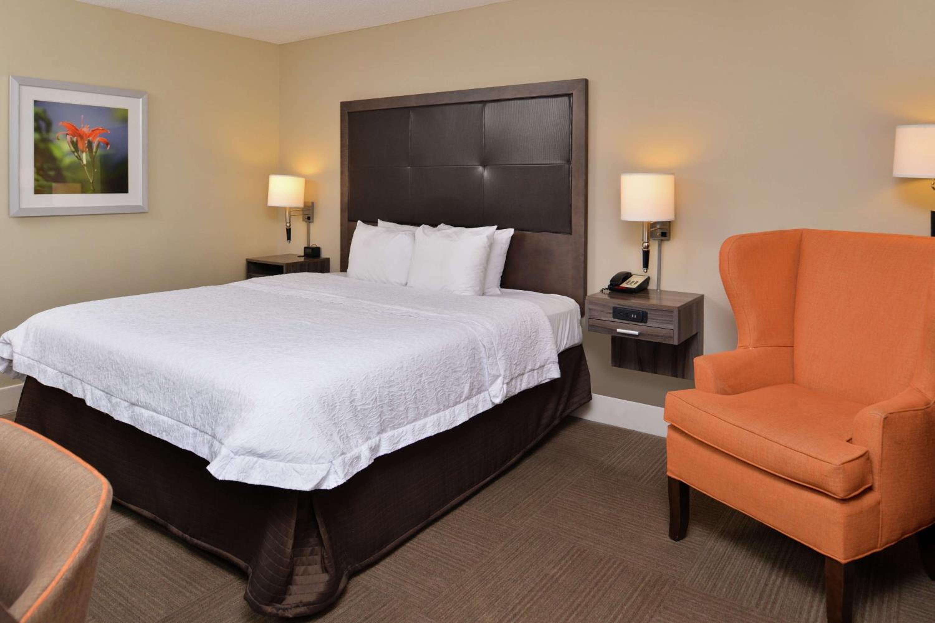 King Room with King Bed - Non-Smoking - Photo 4