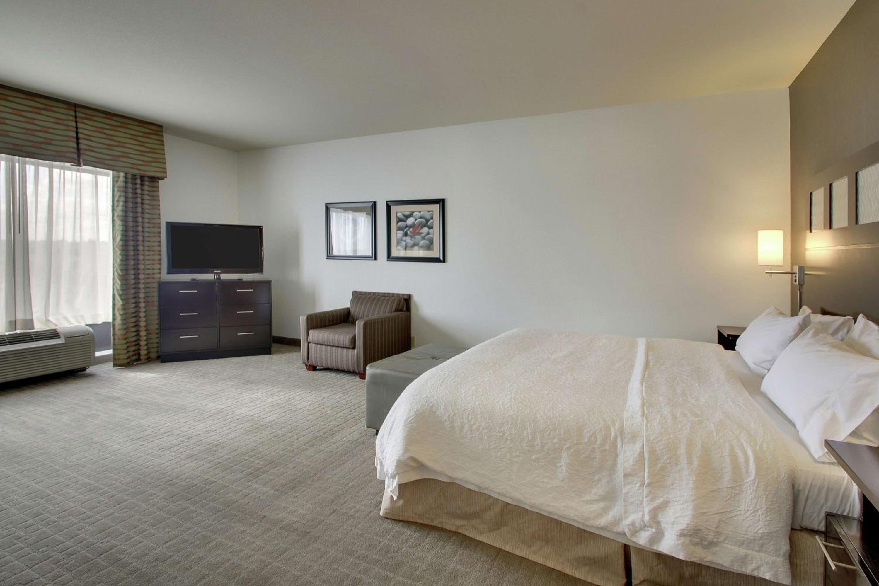 King Studio Suite with Sofa Bed - Non-Smoking - Photo 3