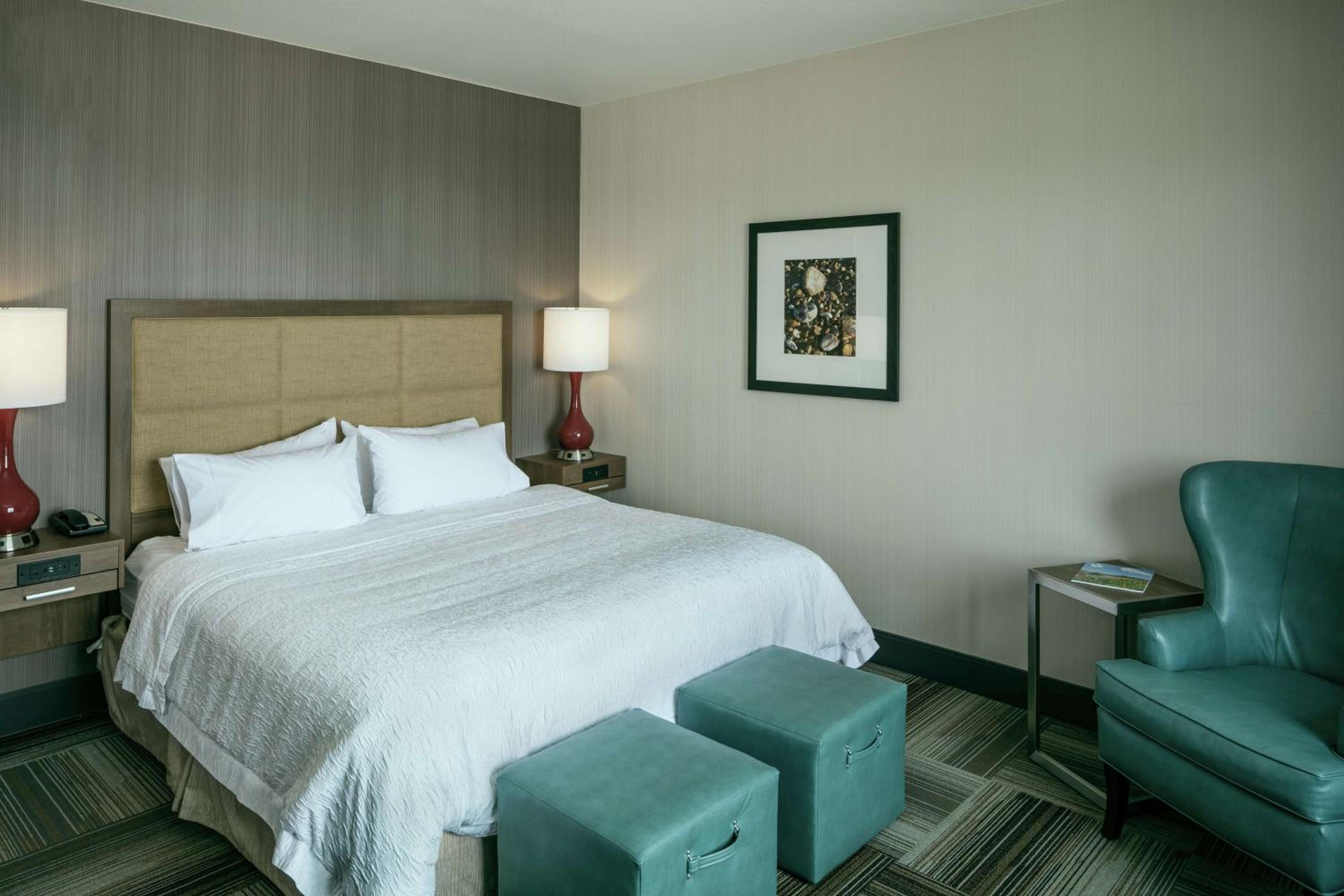 King Guest Room - Photo 5