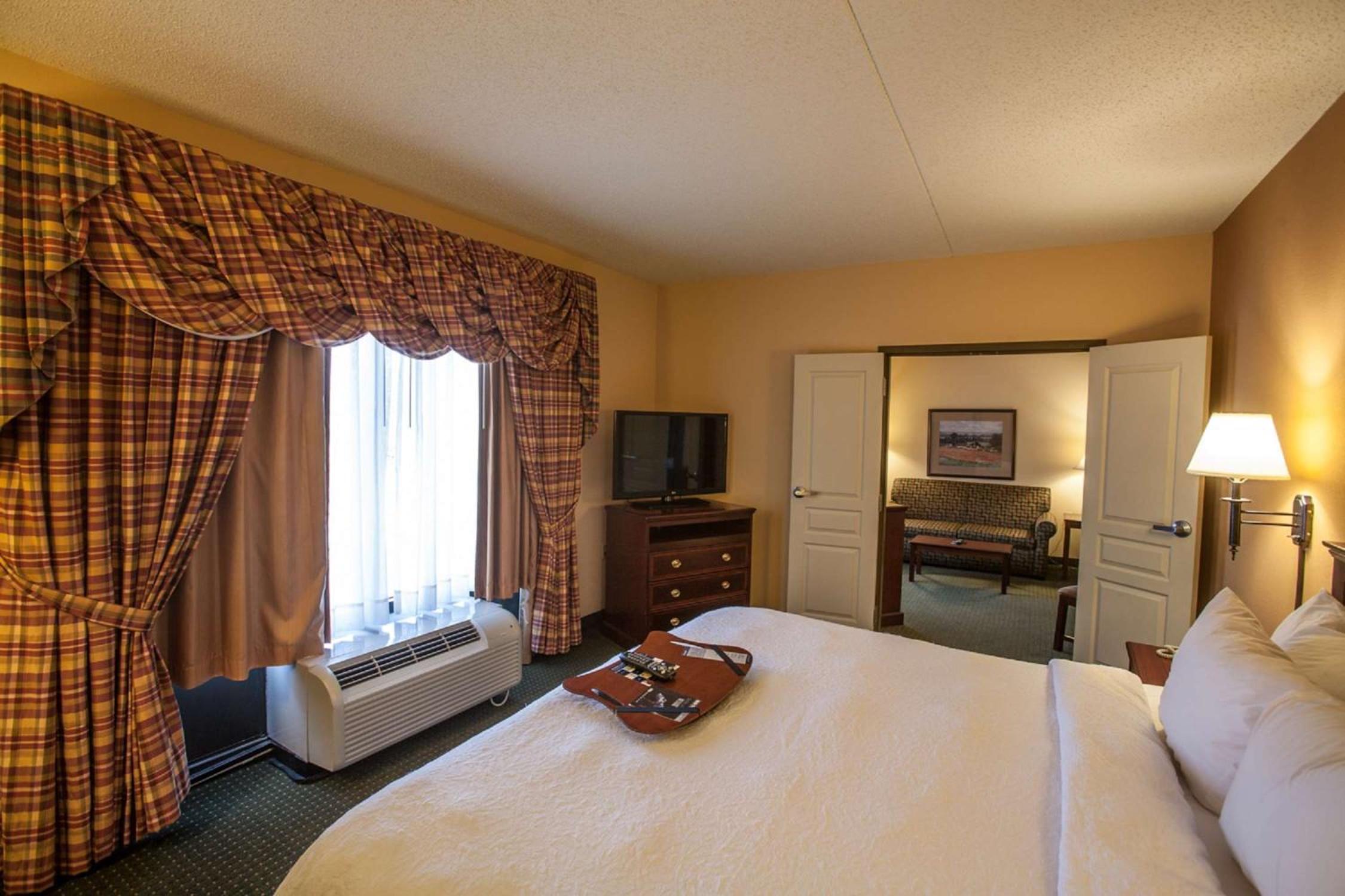 One-Bedroom King Suite - Non-Smoking - Photo 1