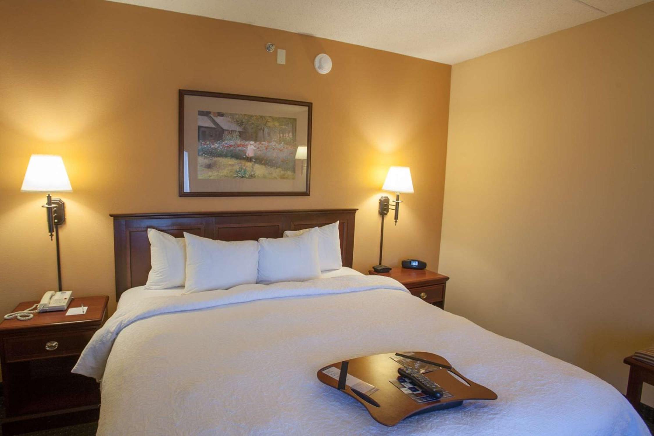 One-Bedroom King Suite - Non-Smoking - Photo 4