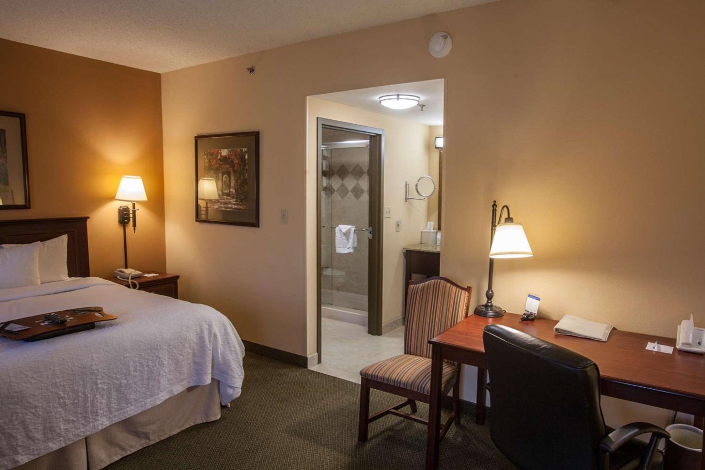 King Studio Suite - Non-Smoking - Photo 2